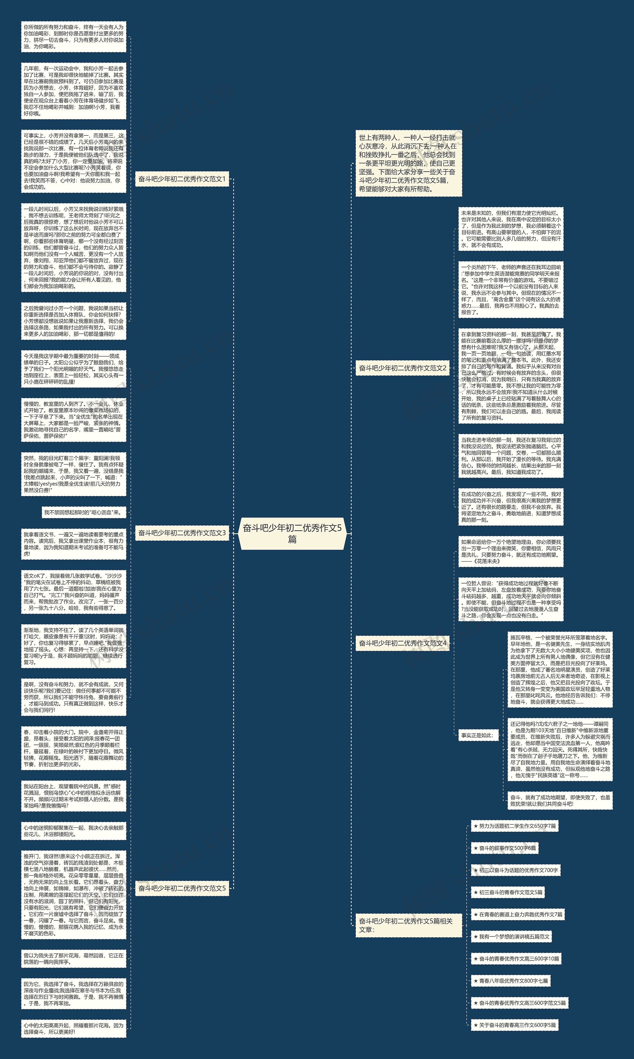 奋斗吧少年初二优秀作文5篇思维导图