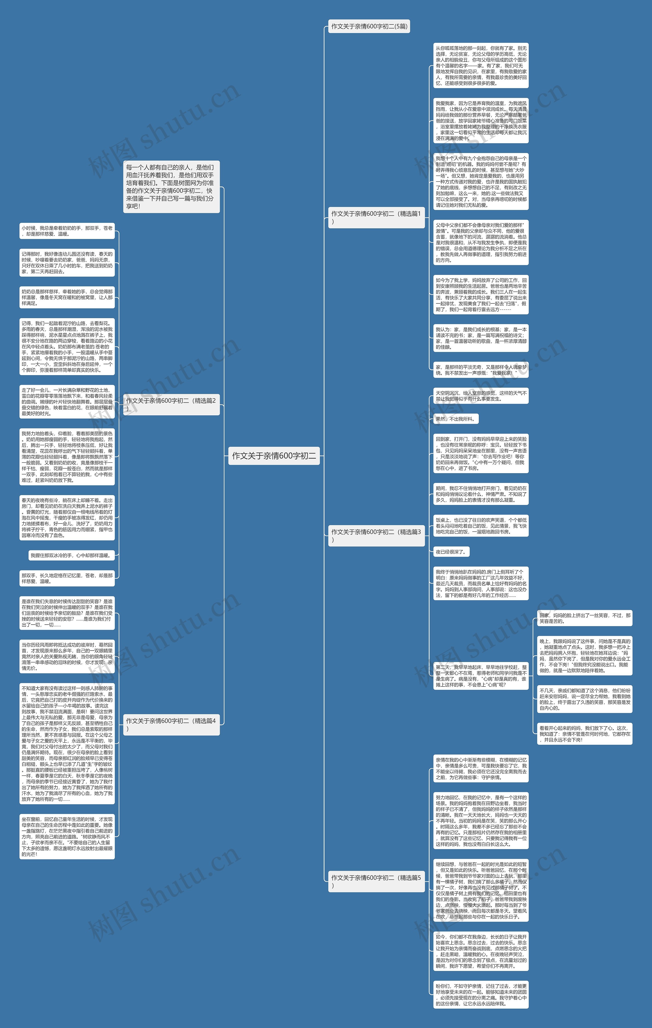 作文关于亲情600字初二思维导图