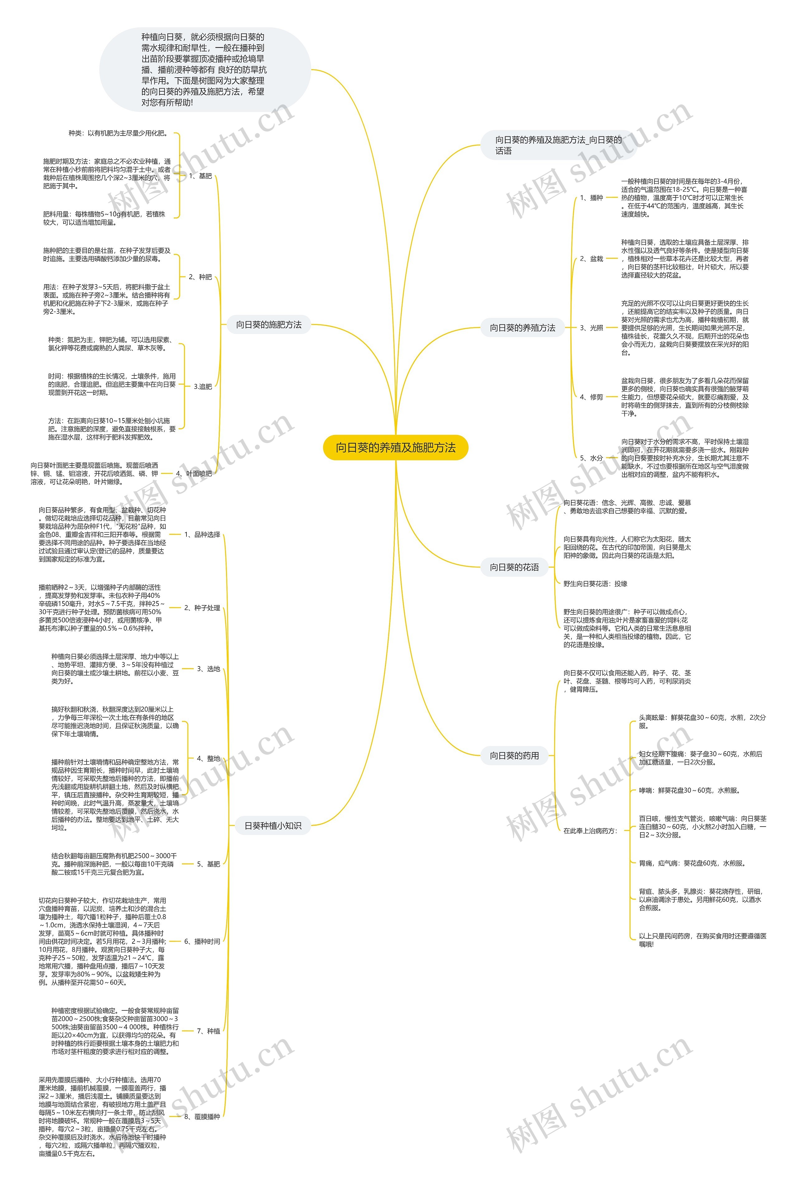 向日葵的养殖及施肥方法思维导图
