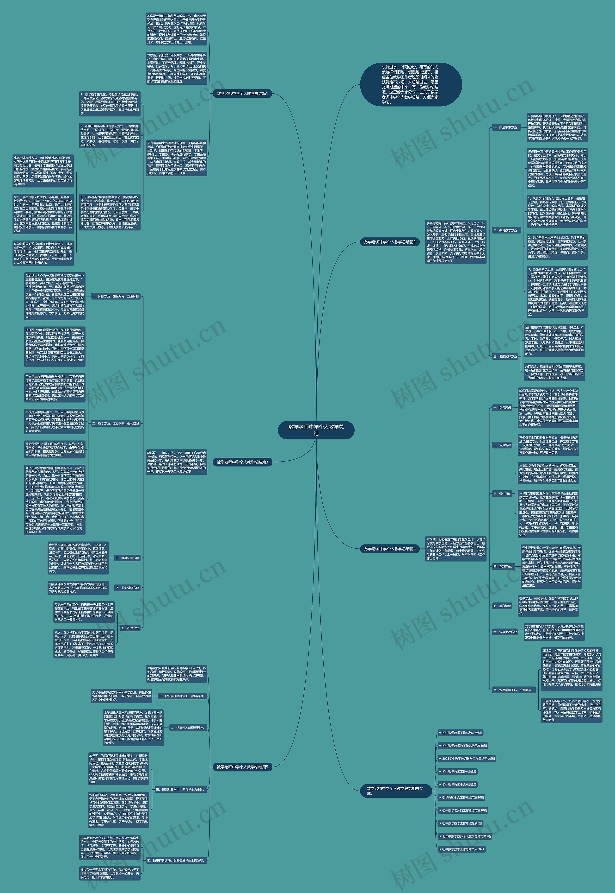 数学老师中学个人教学总结思维导图