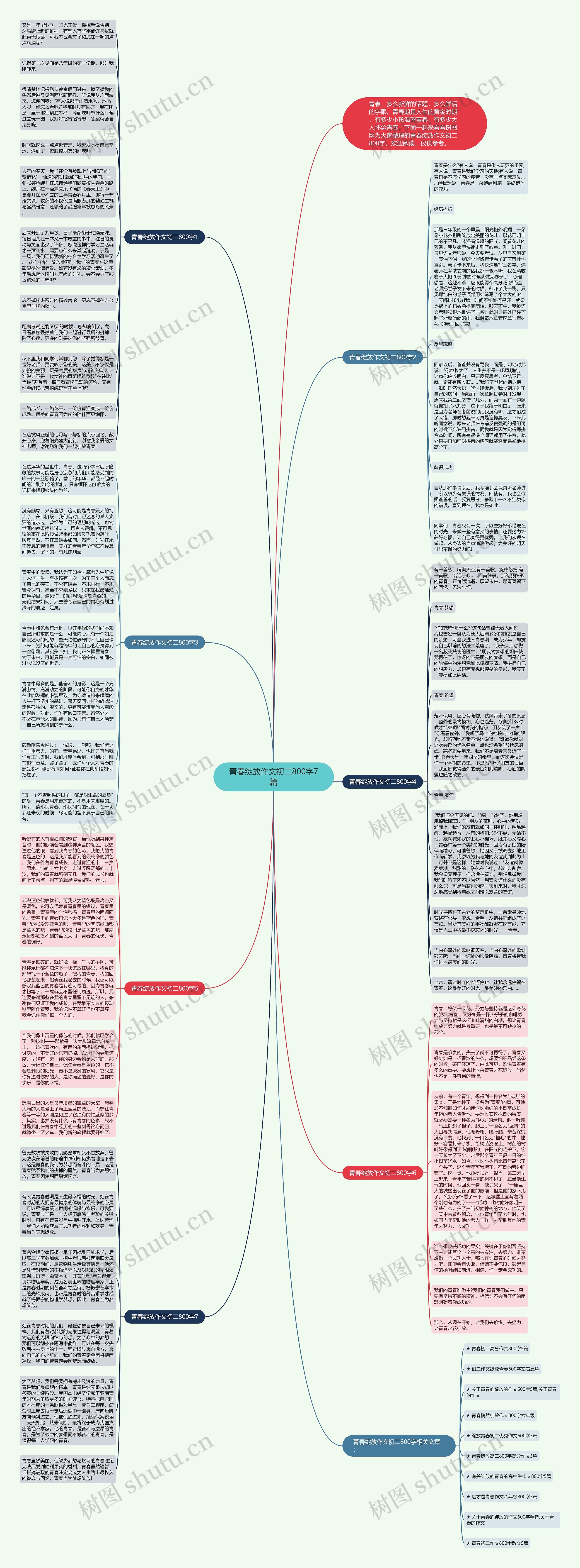 青春绽放作文初二800字7篇思维导图