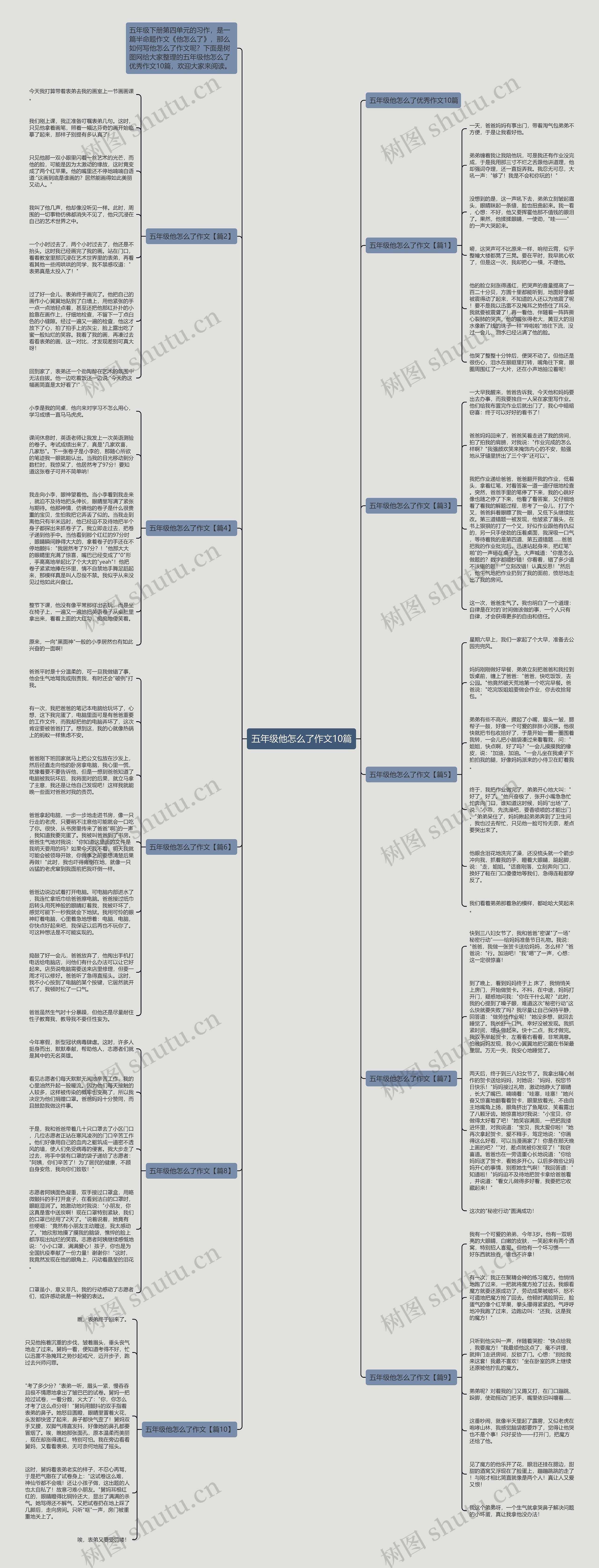 五年级他怎么了作文10篇思维导图
