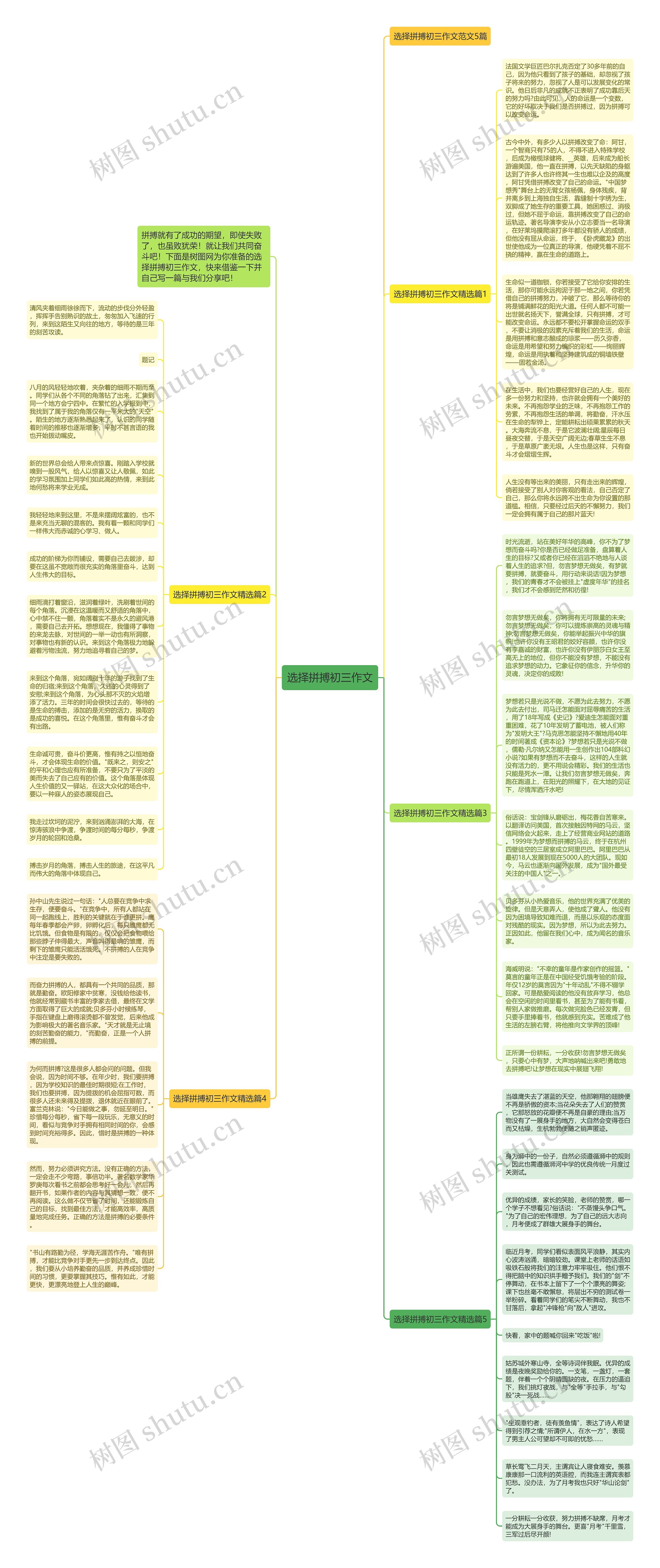选择拼搏初三作文思维导图