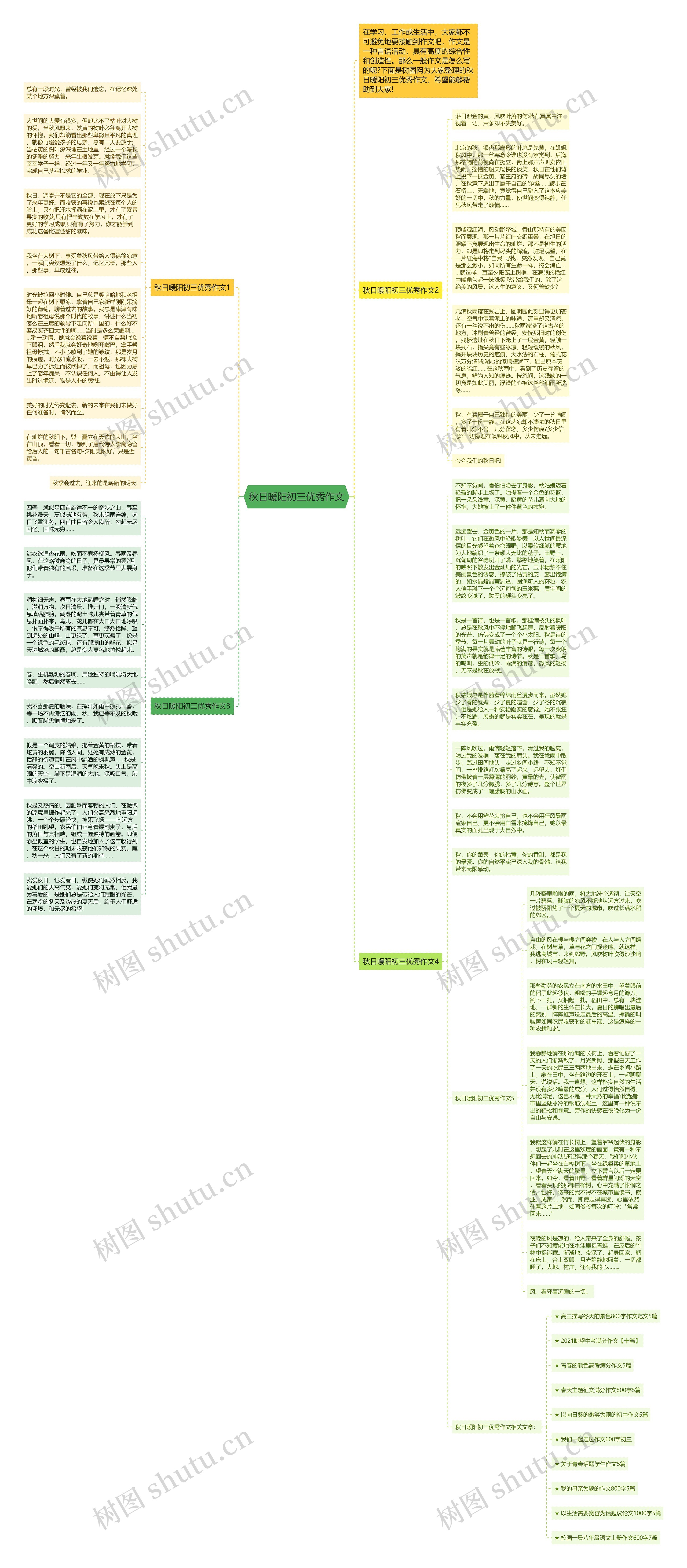 秋日暖阳初三优秀作文思维导图