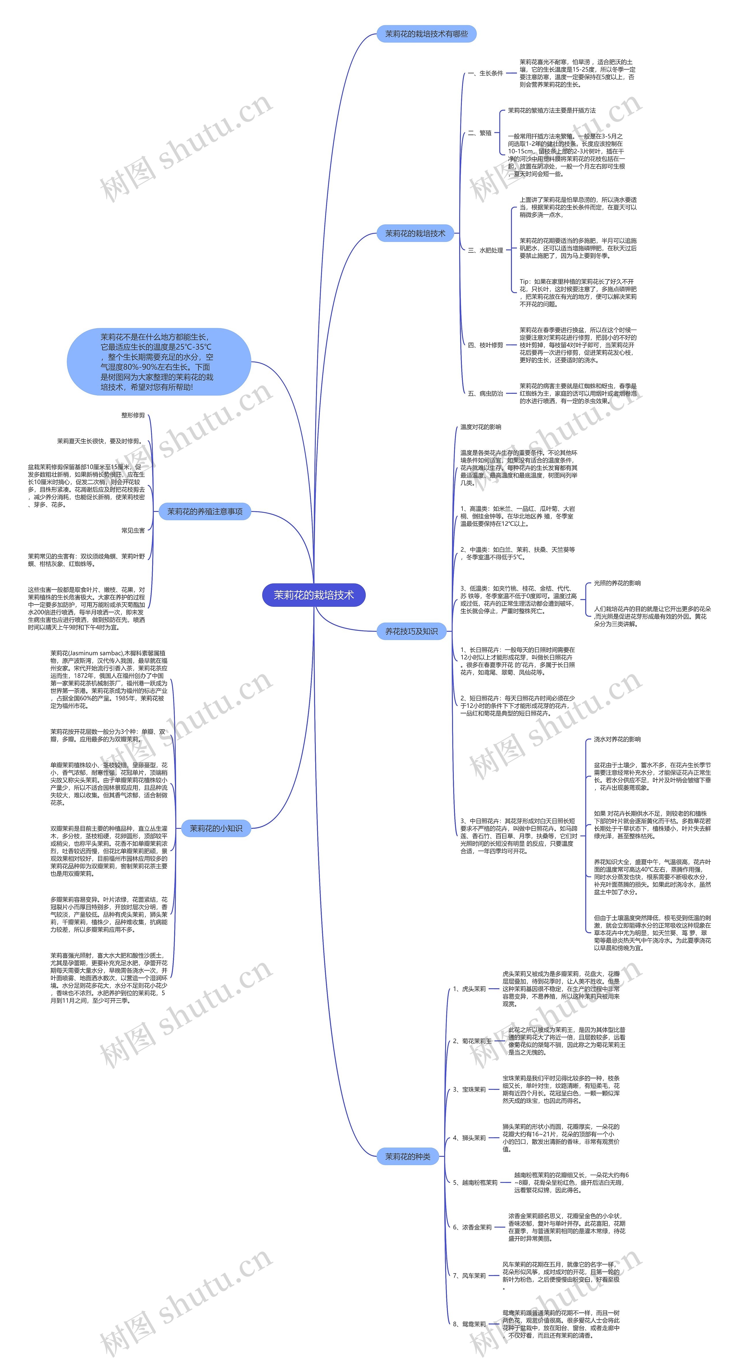 茉莉花的栽培技术思维导图