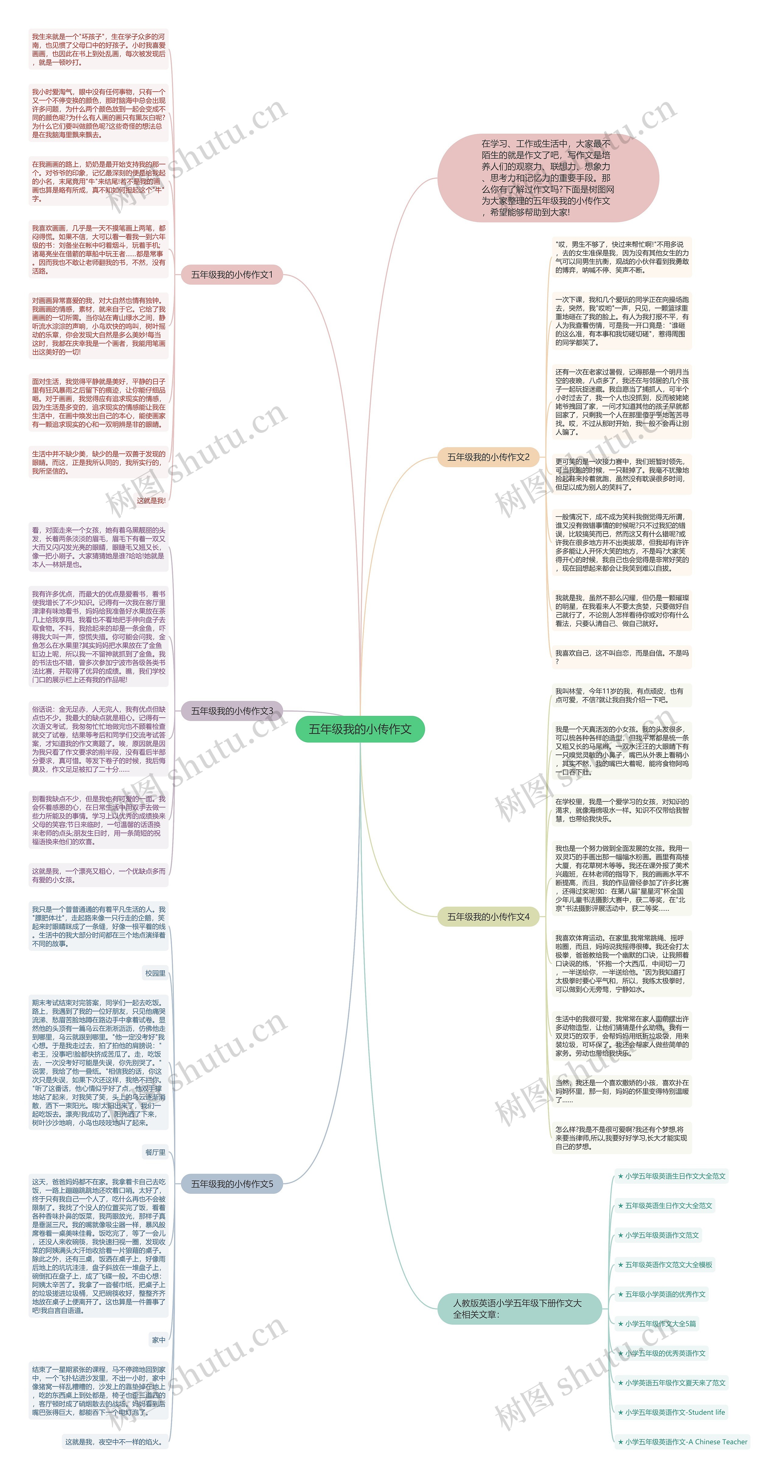 五年级我的小传作文思维导图