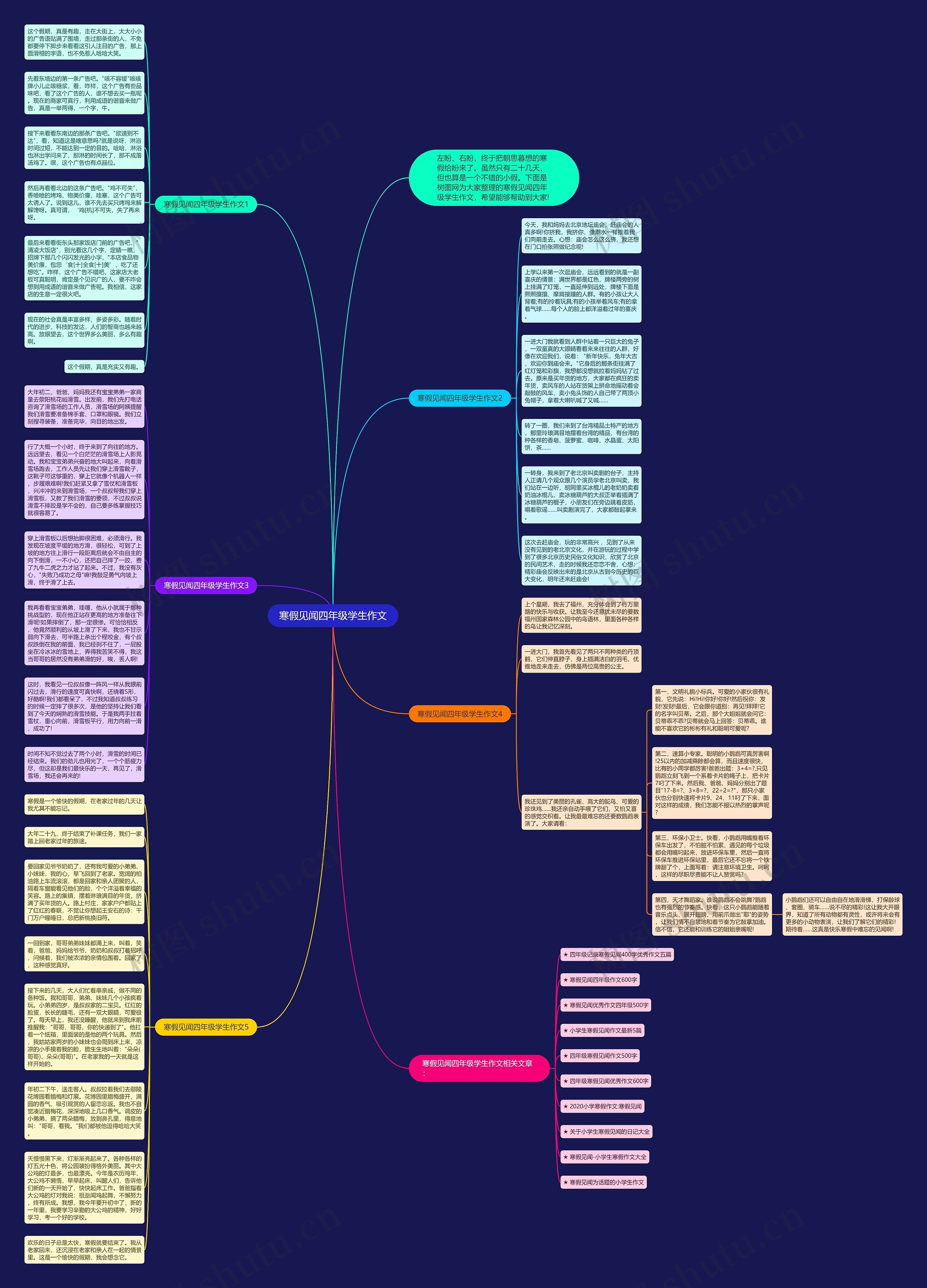 寒假见闻四年级学生作文思维导图