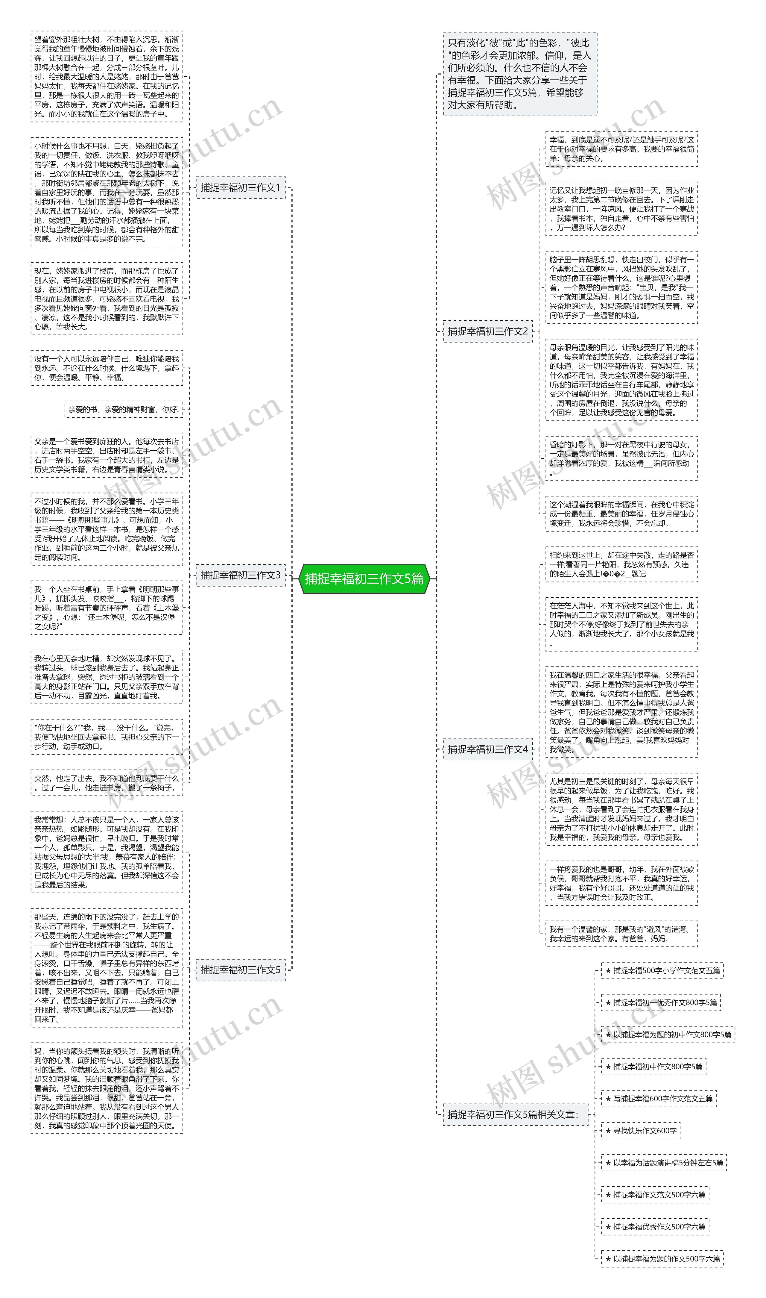 捕捉幸福初三作文5篇思维导图