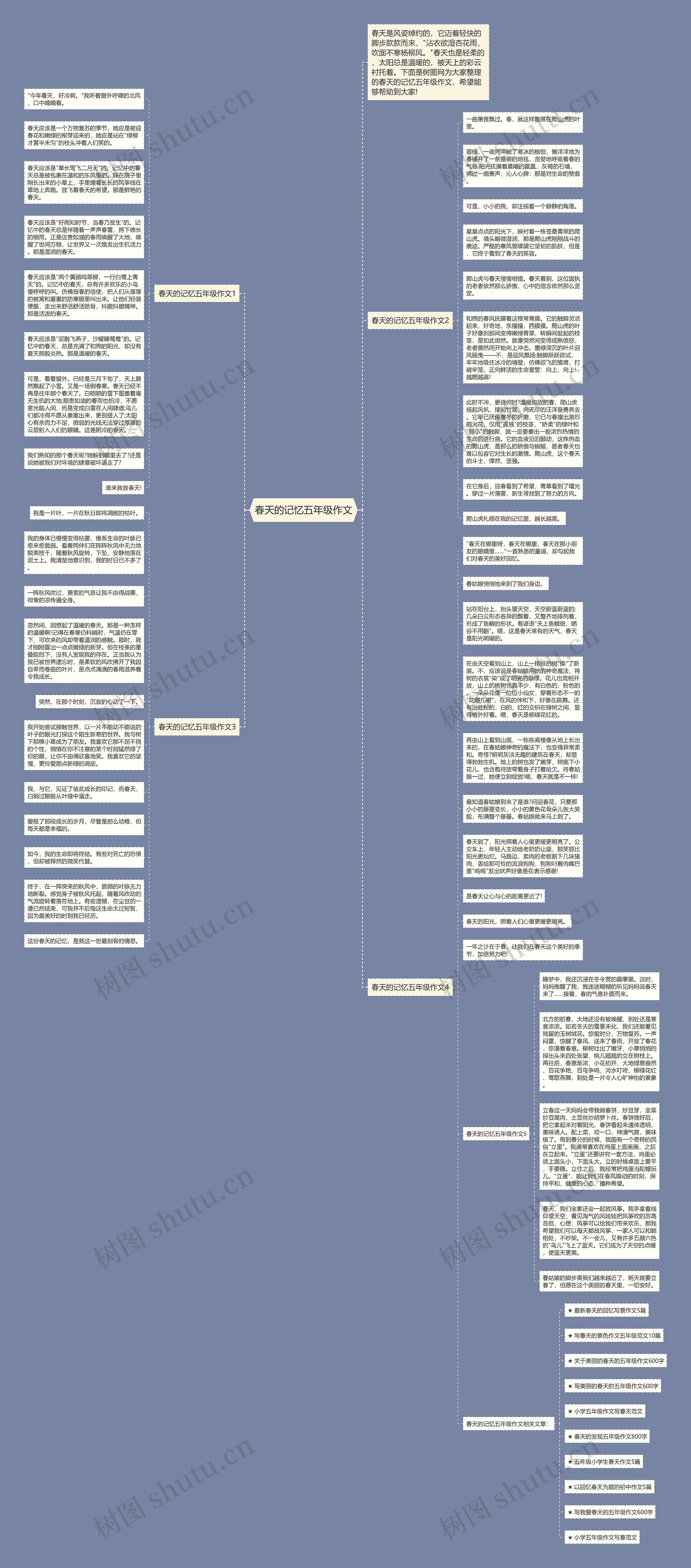 春天的记忆五年级作文思维导图