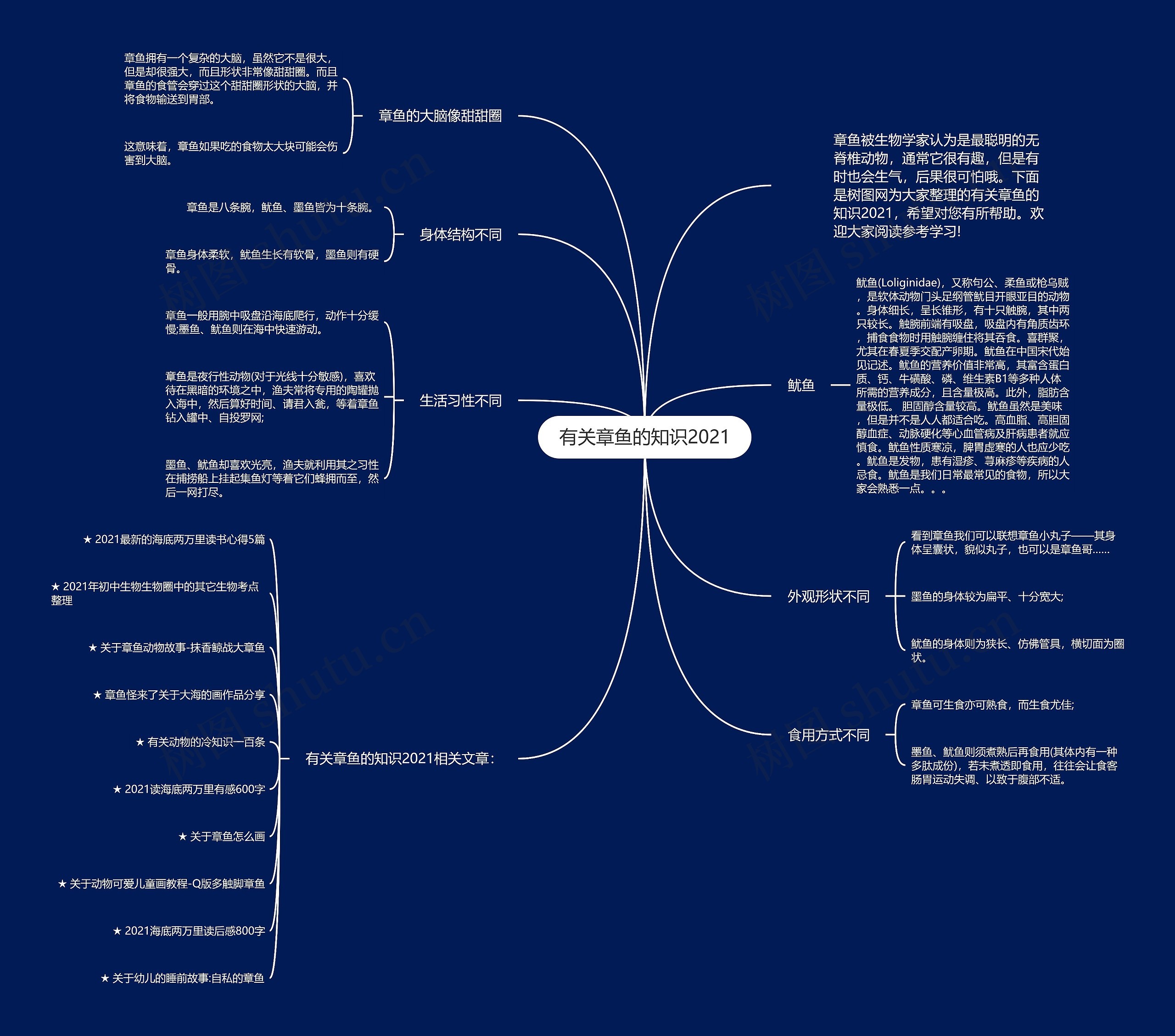 有关章鱼的知识2021思维导图