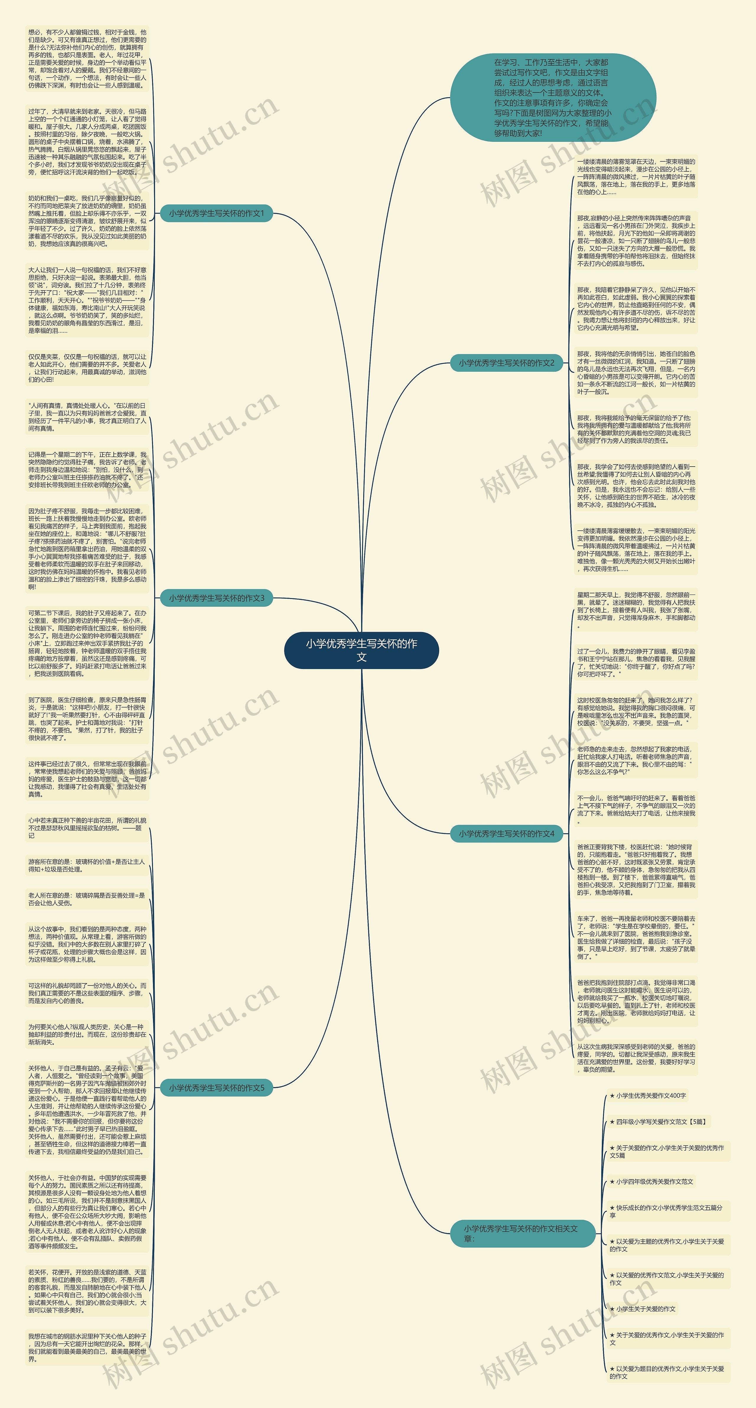 小学优秀学生写关怀的作文思维导图