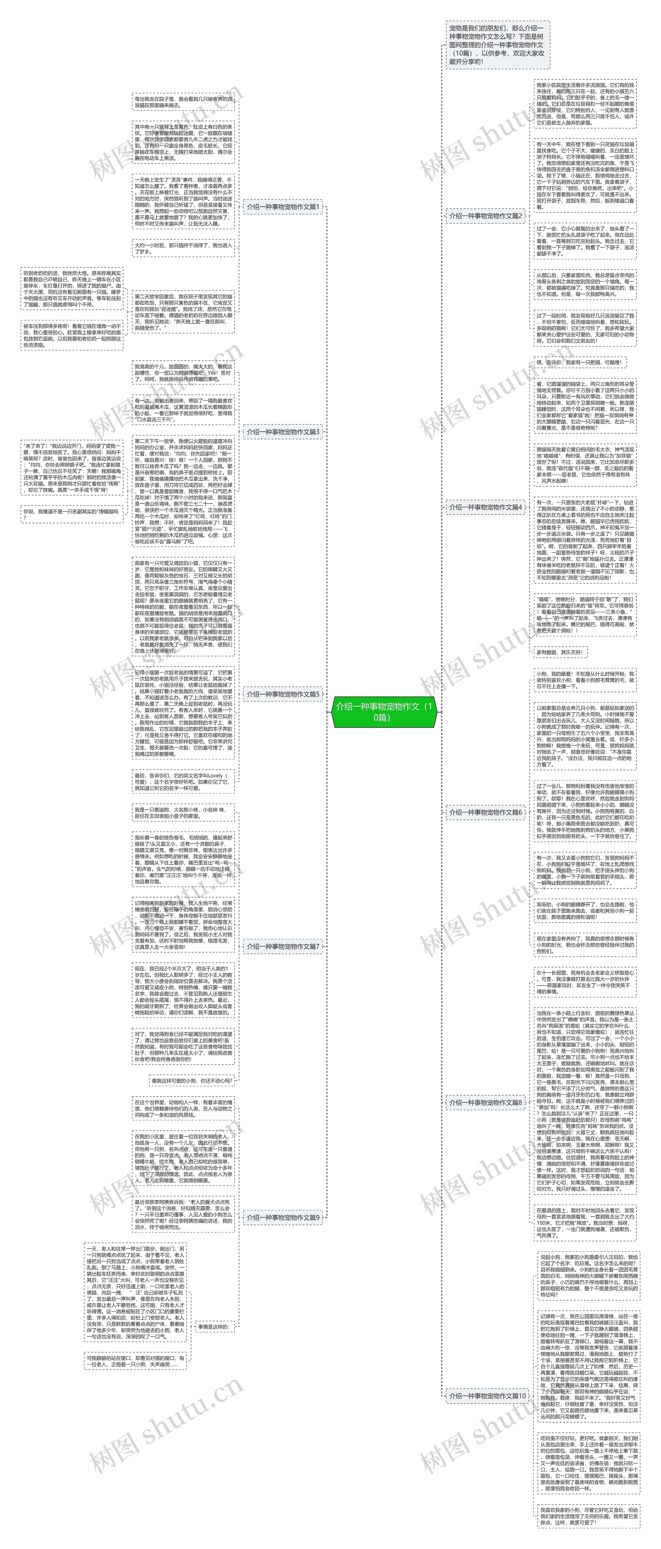 介绍一种事物宠物作文（10篇）思维导图