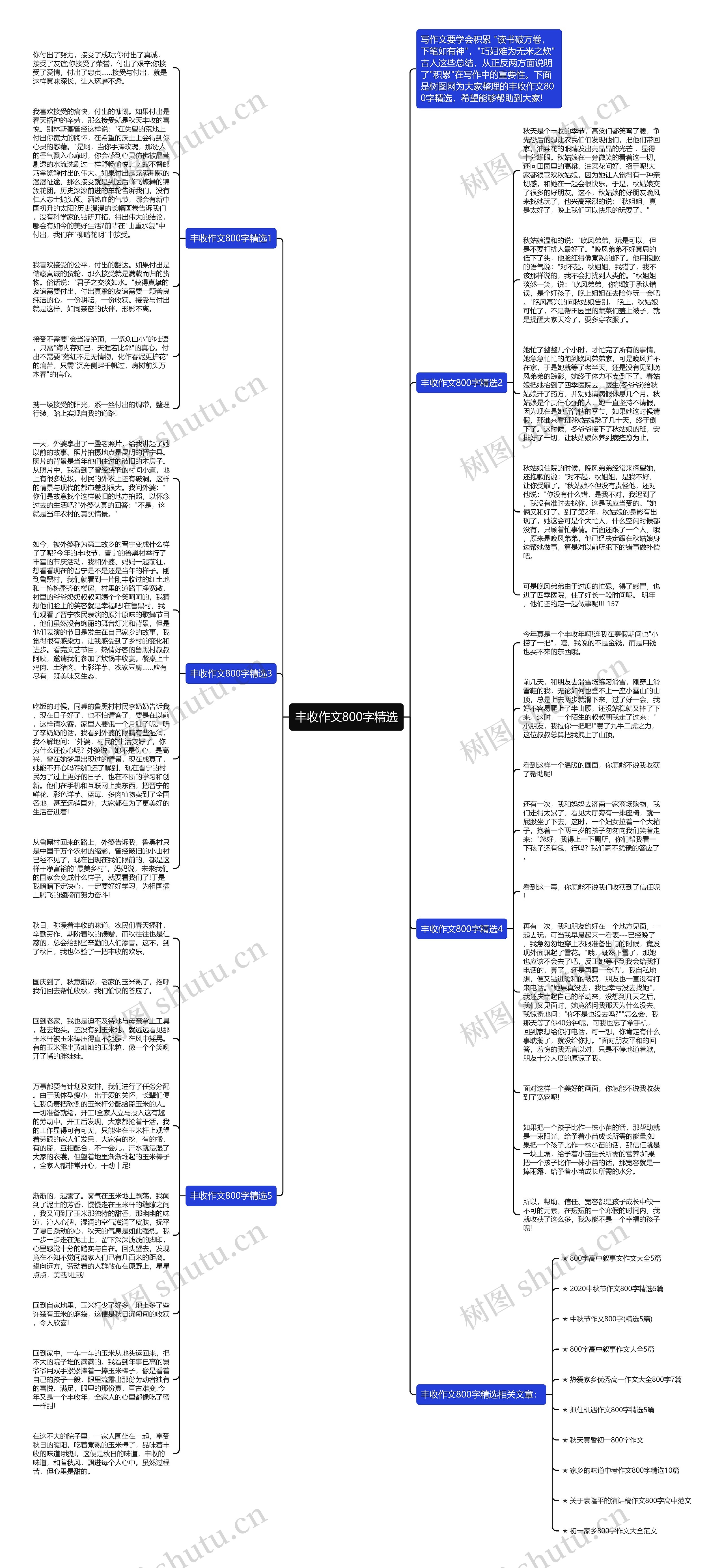 丰收作文800字精选思维导图