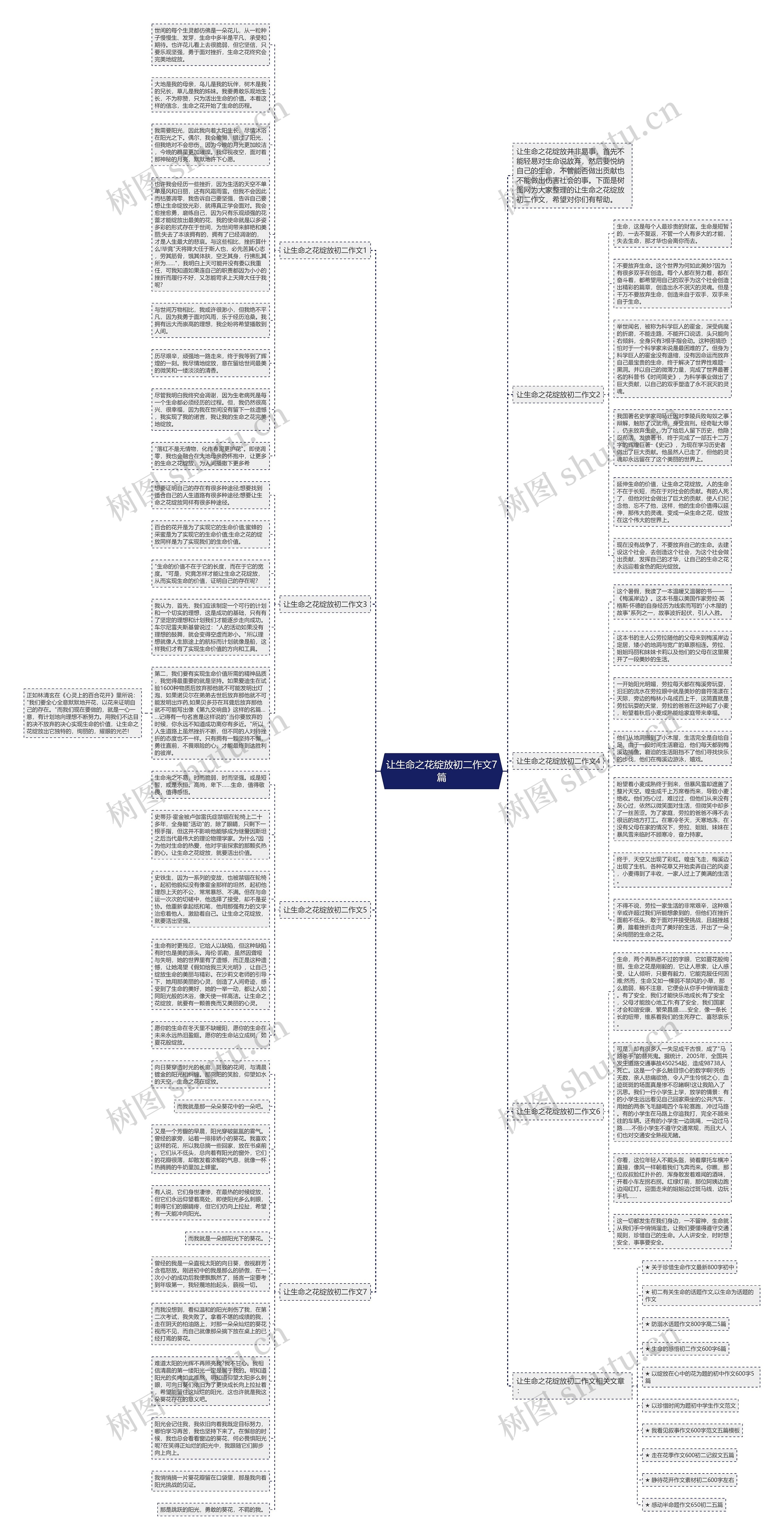 让生命之花绽放初二作文7篇思维导图