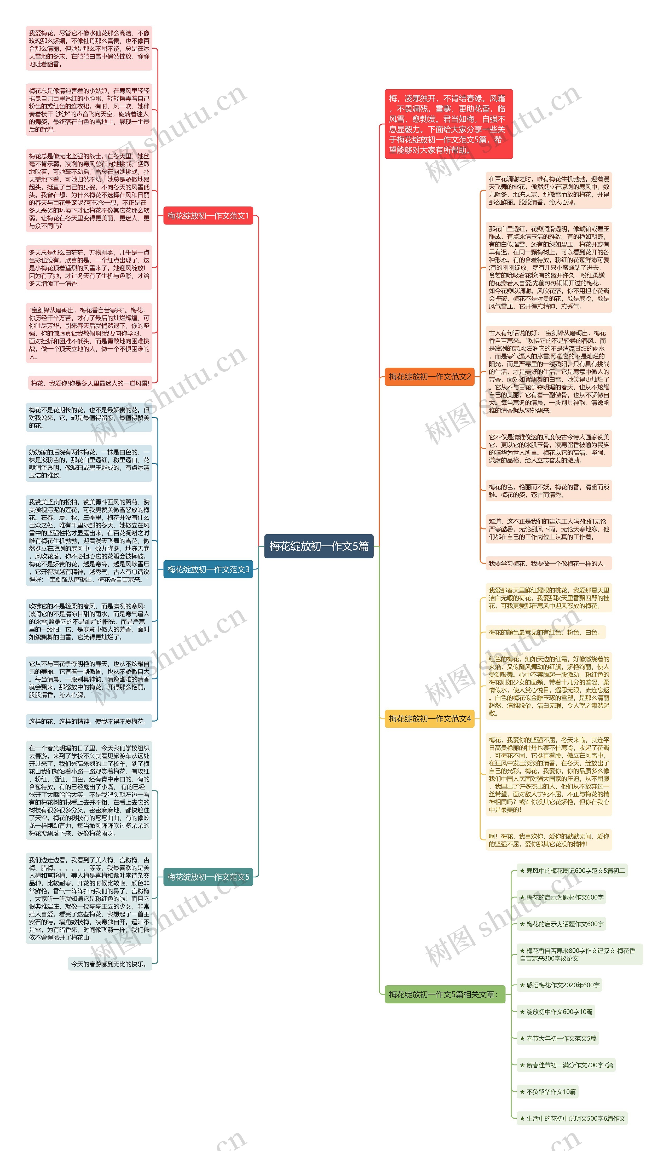 梅花绽放初一作文5篇思维导图