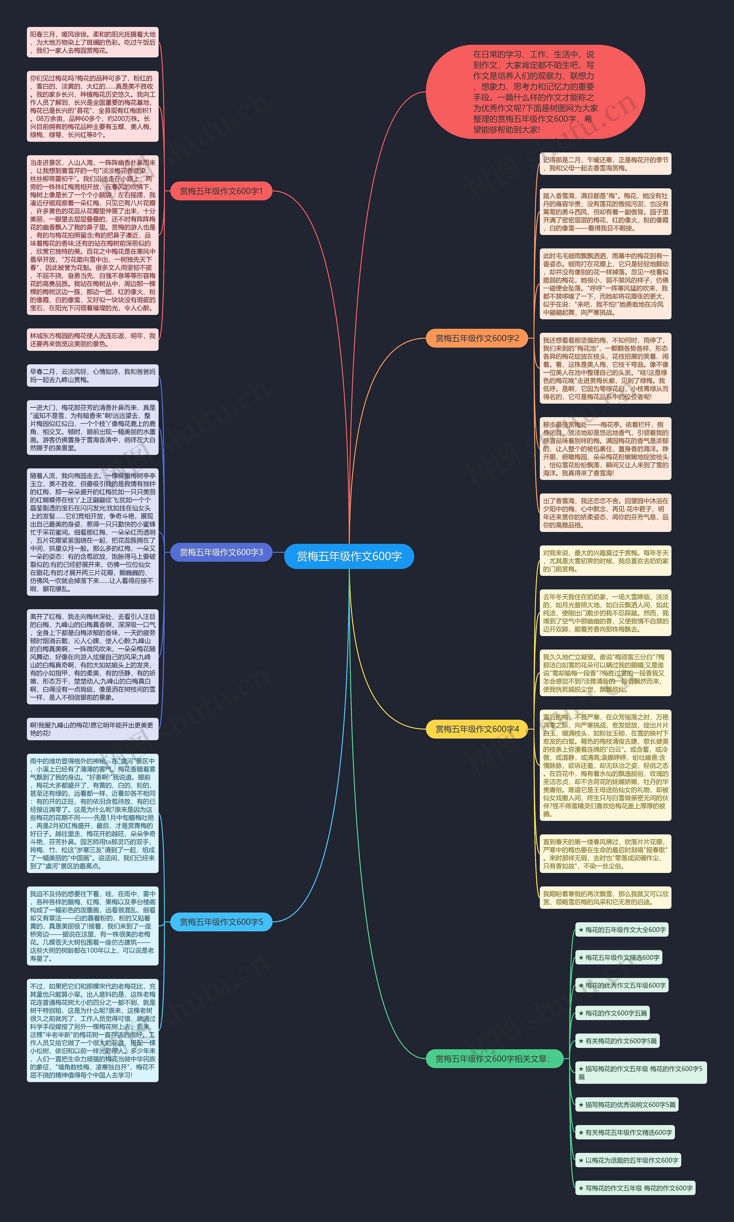 赏梅五年级作文600字思维导图