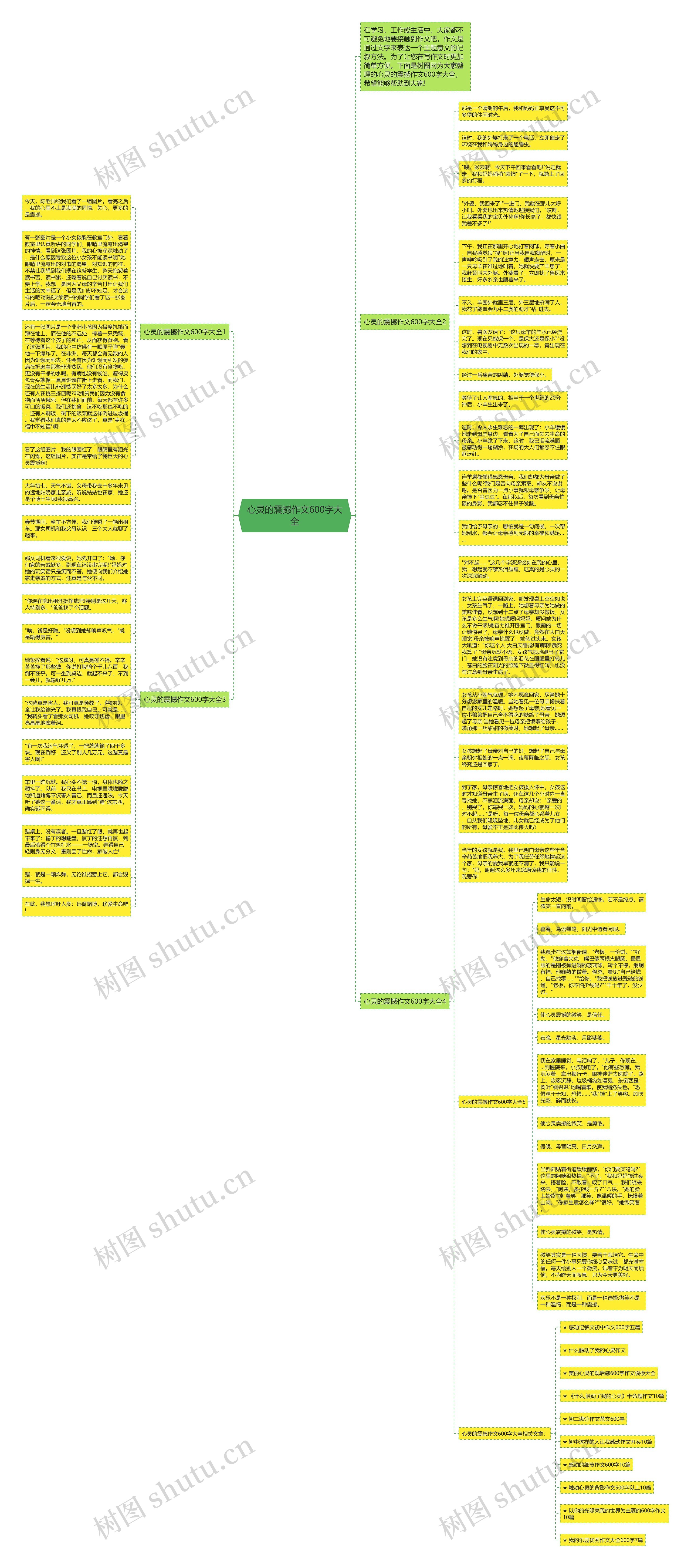 心灵的震撼作文600字大全