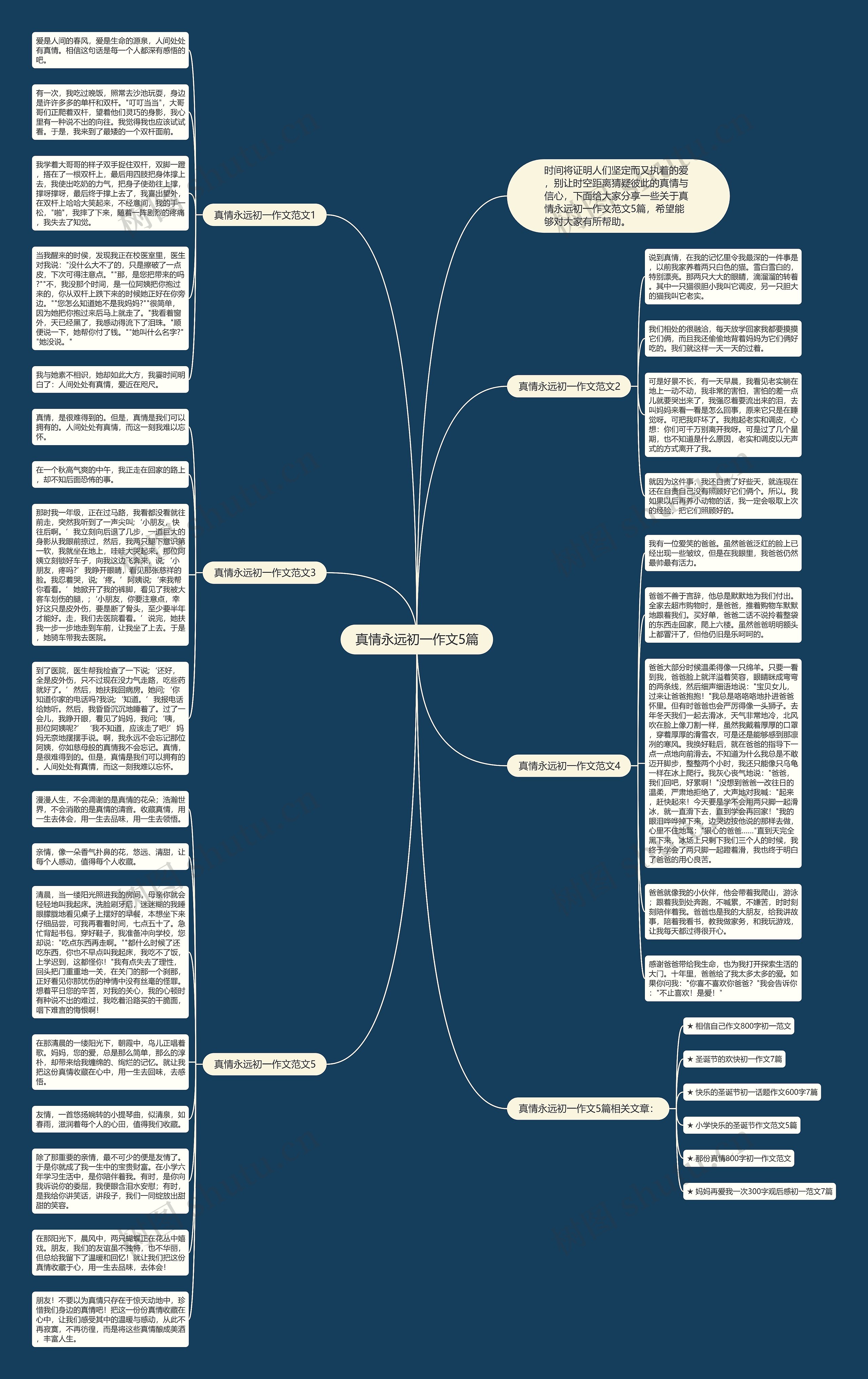 真情永远初一作文5篇思维导图