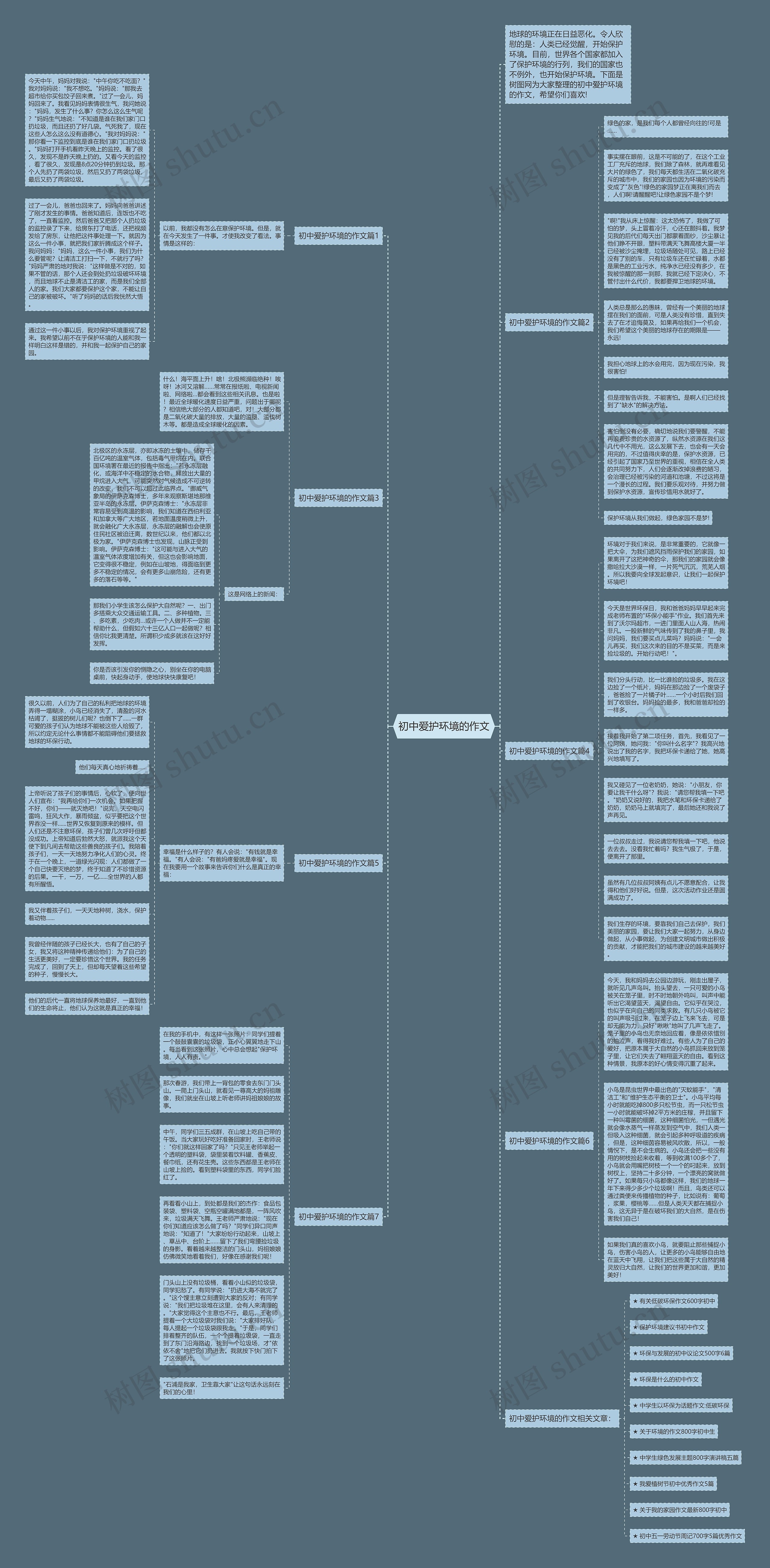 初中爱护环境的作文思维导图