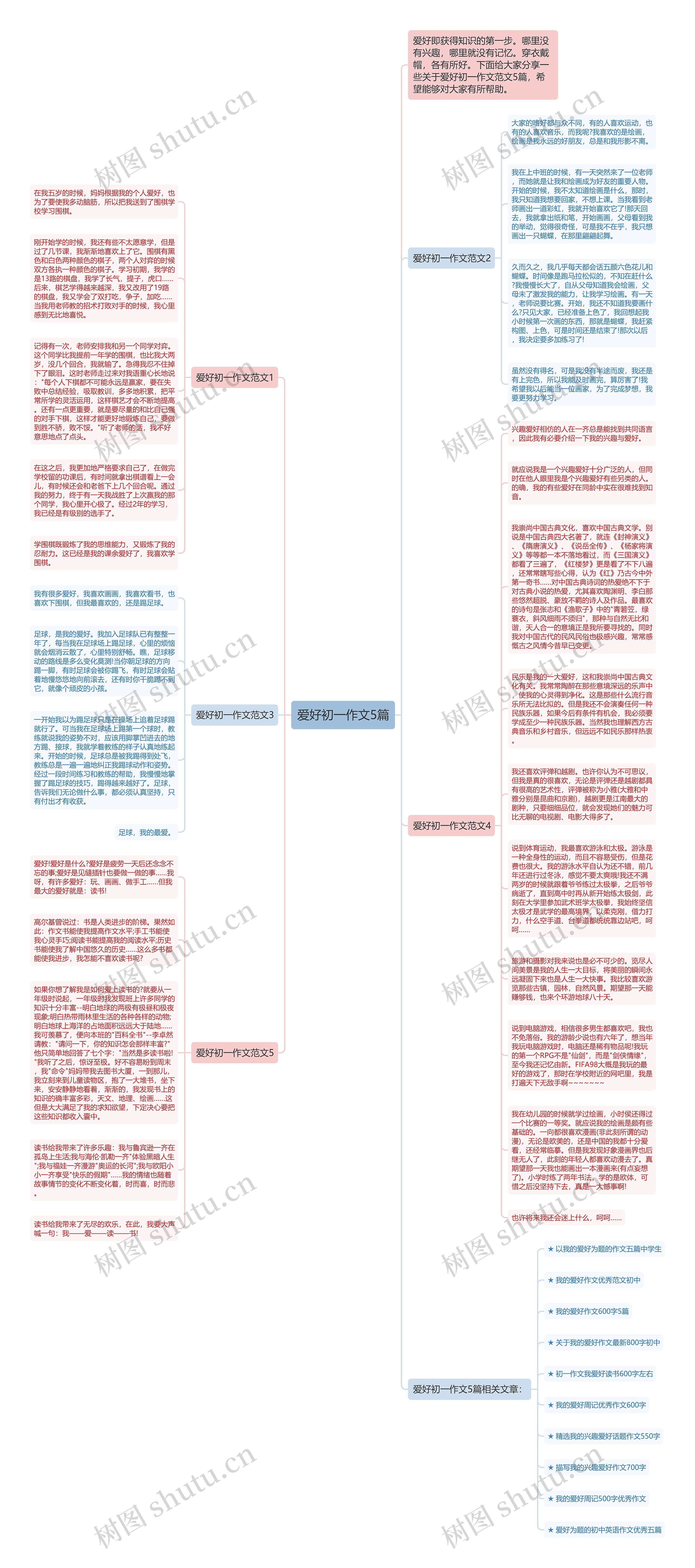 爱好初一作文5篇思维导图