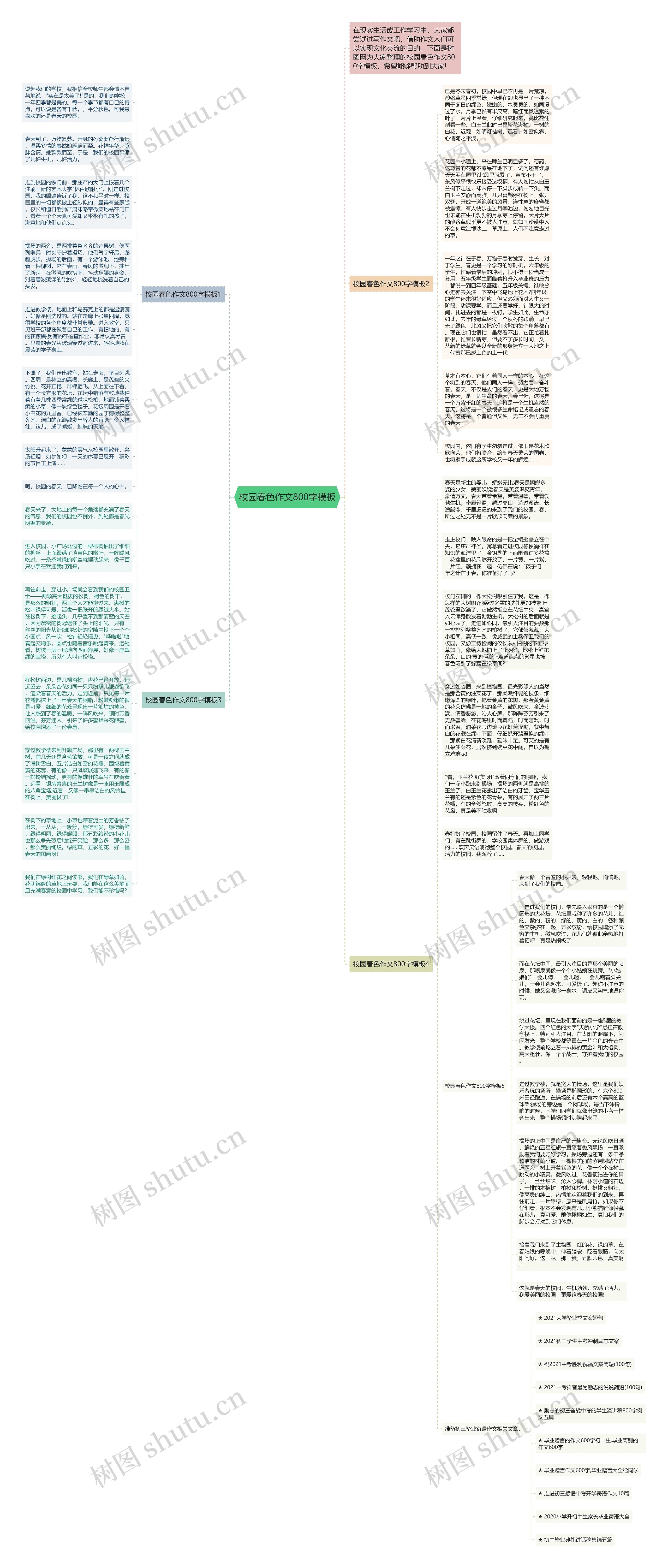 校园春色作文800字模板
