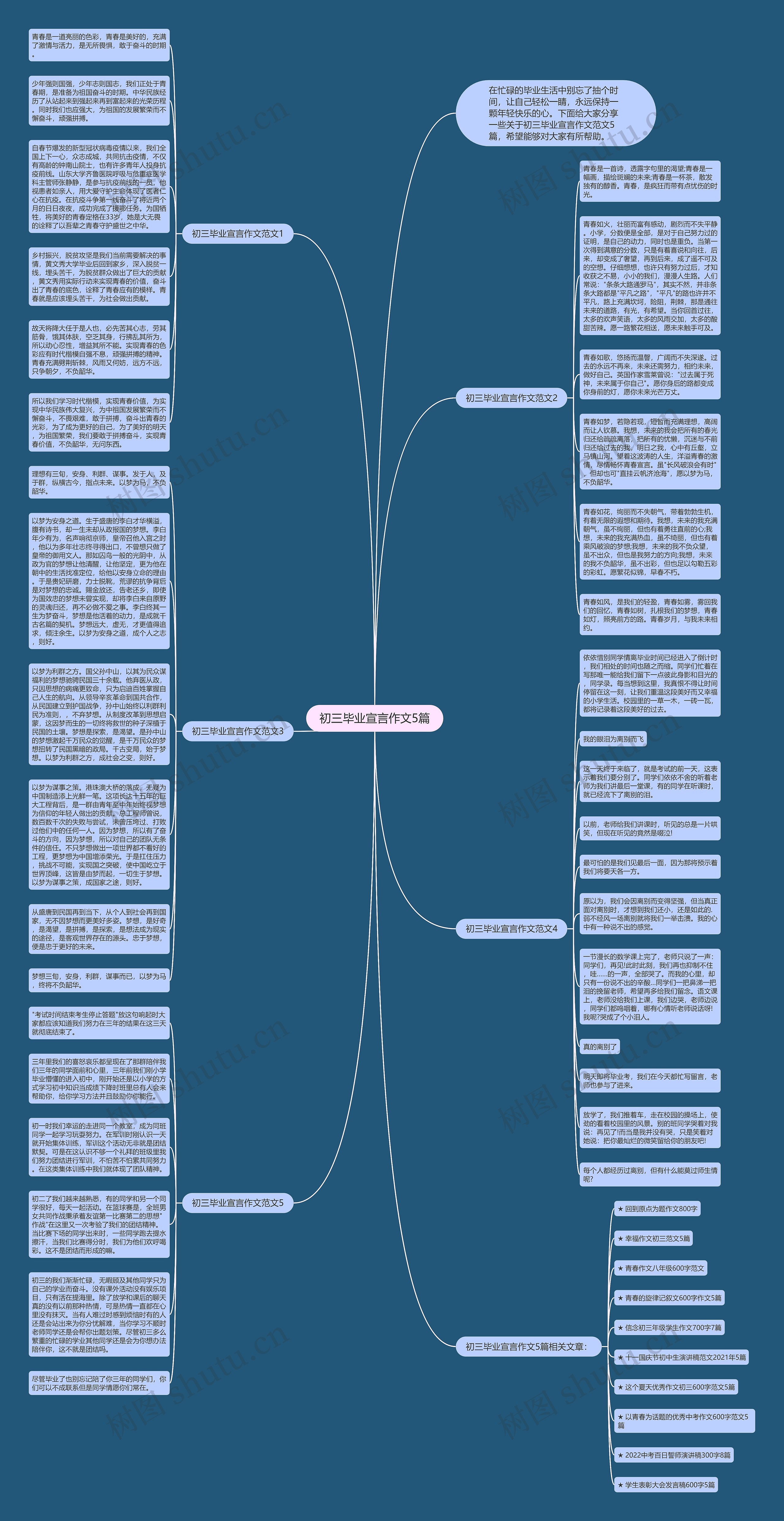 初三毕业宣言作文5篇思维导图