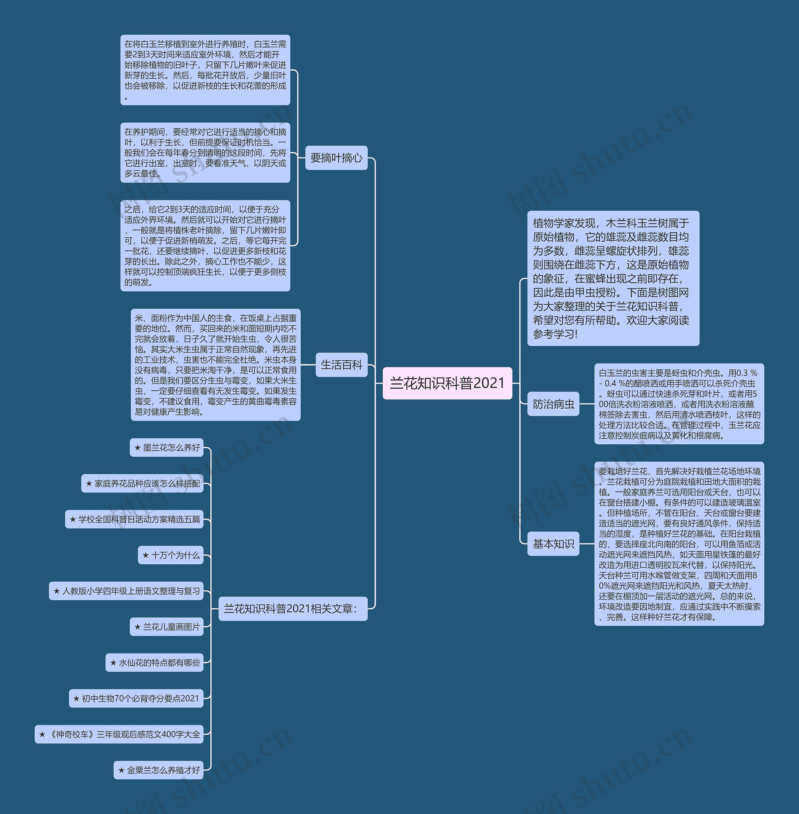 兰花知识科普2021思维导图