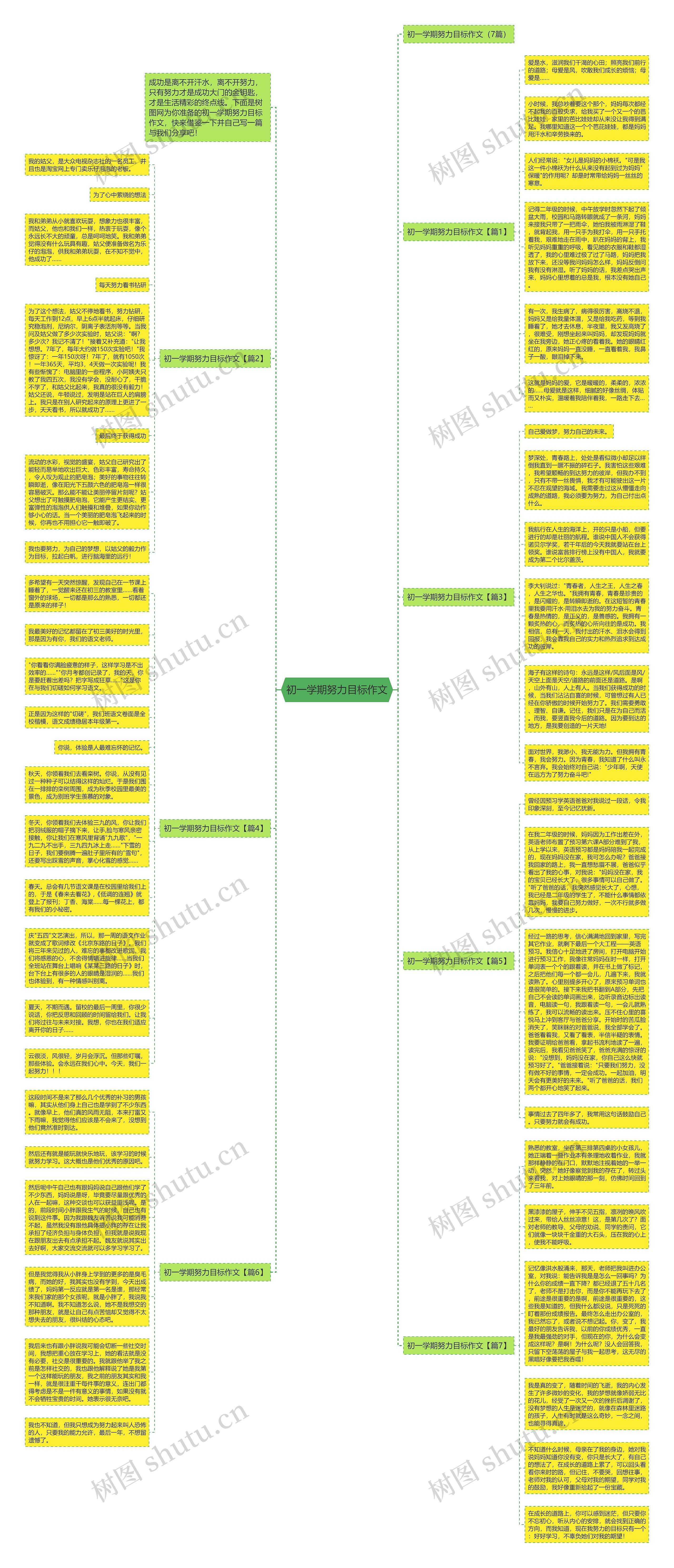 初一学期努力目标作文思维导图