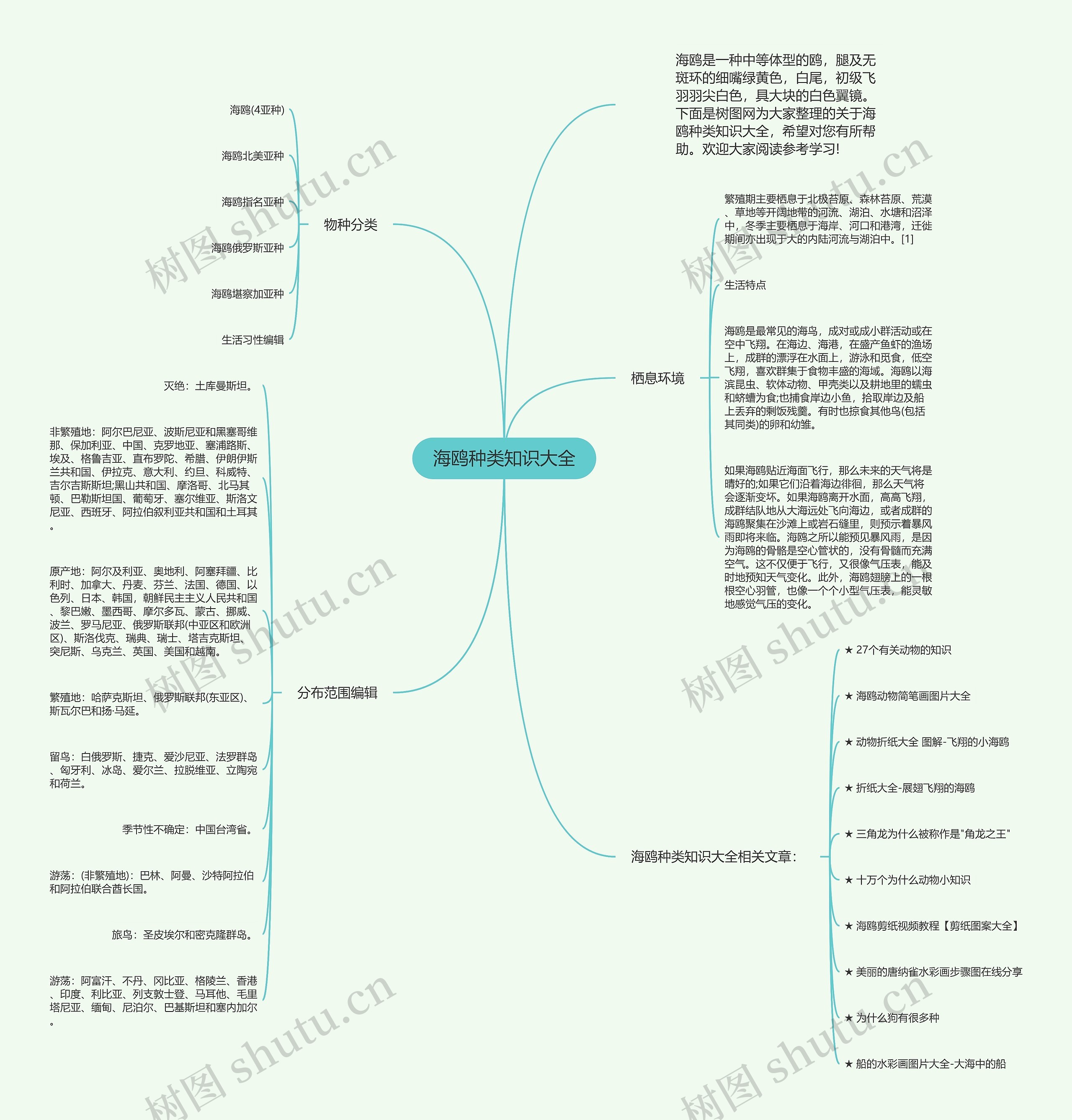 海鸥种类知识大全思维导图
