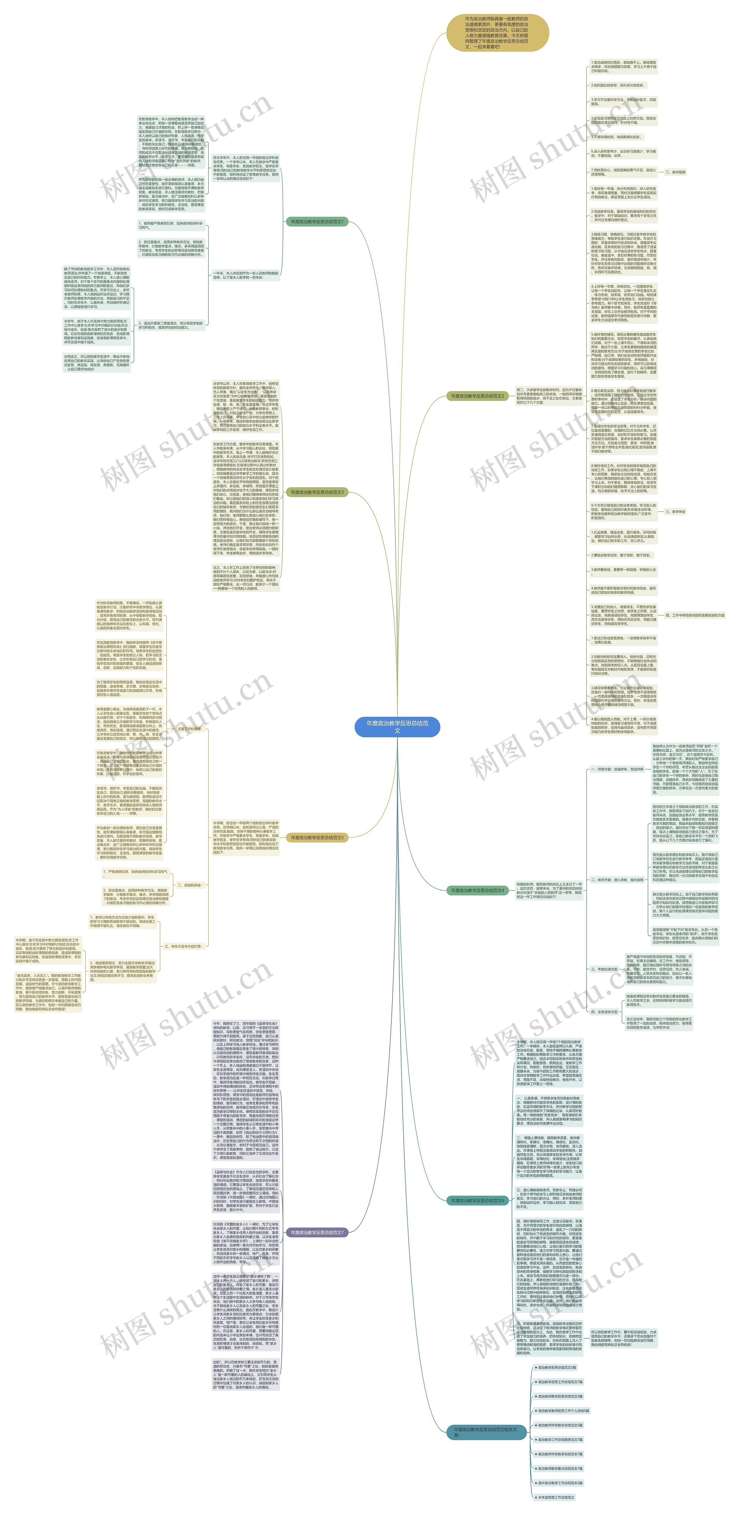 年度政治教学反思总结范文思维导图