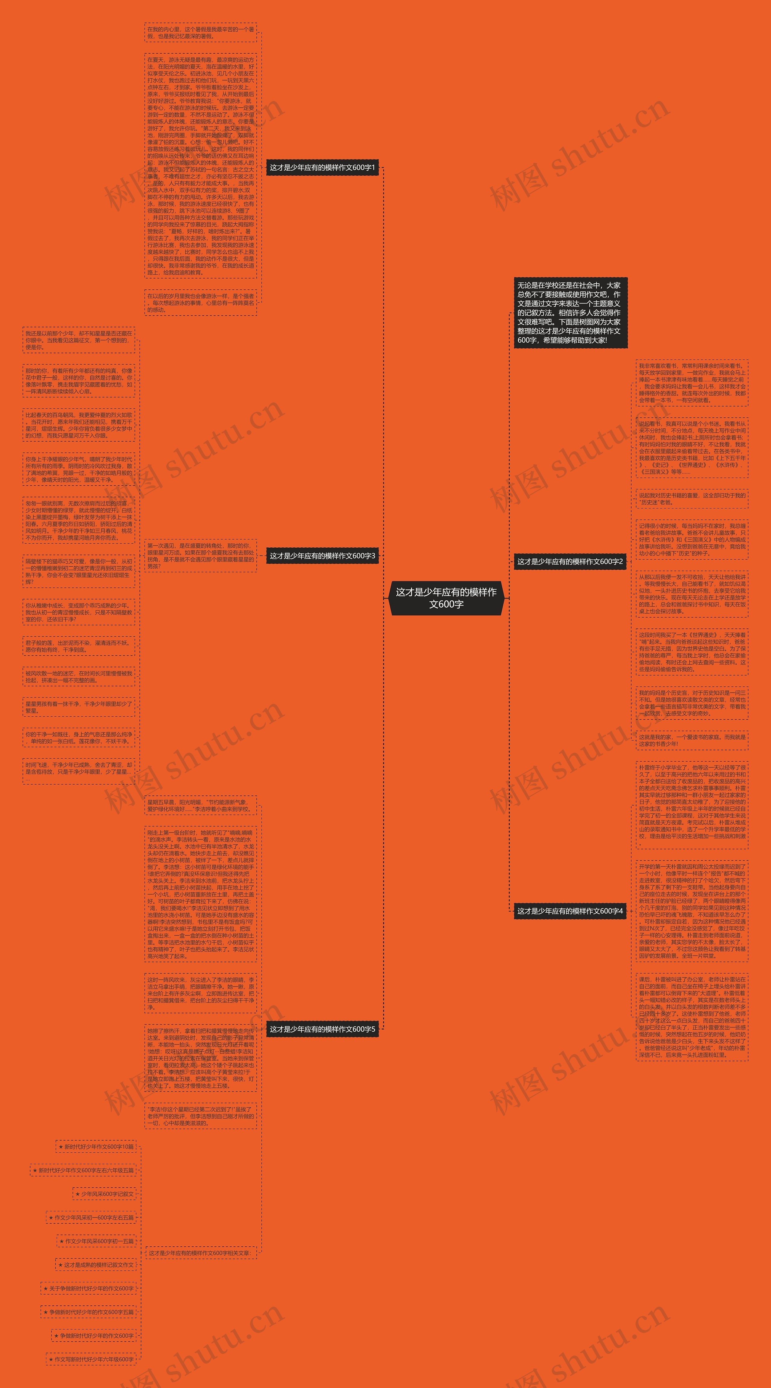 这才是少年应有的模样作文600字思维导图