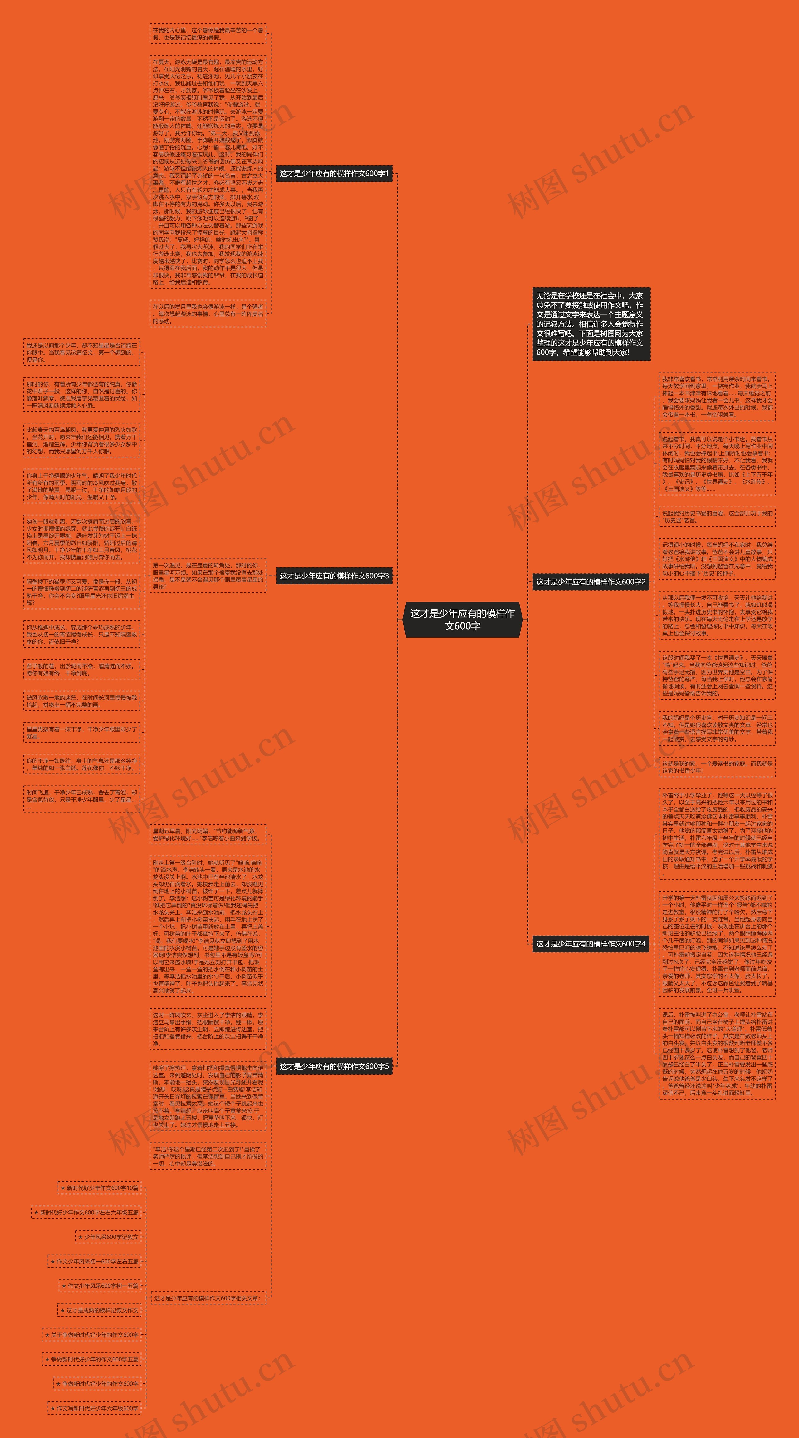 这才是少年应有的模样作文600字思维导图高清图 这才是少年应有的模样作文600字思维导图