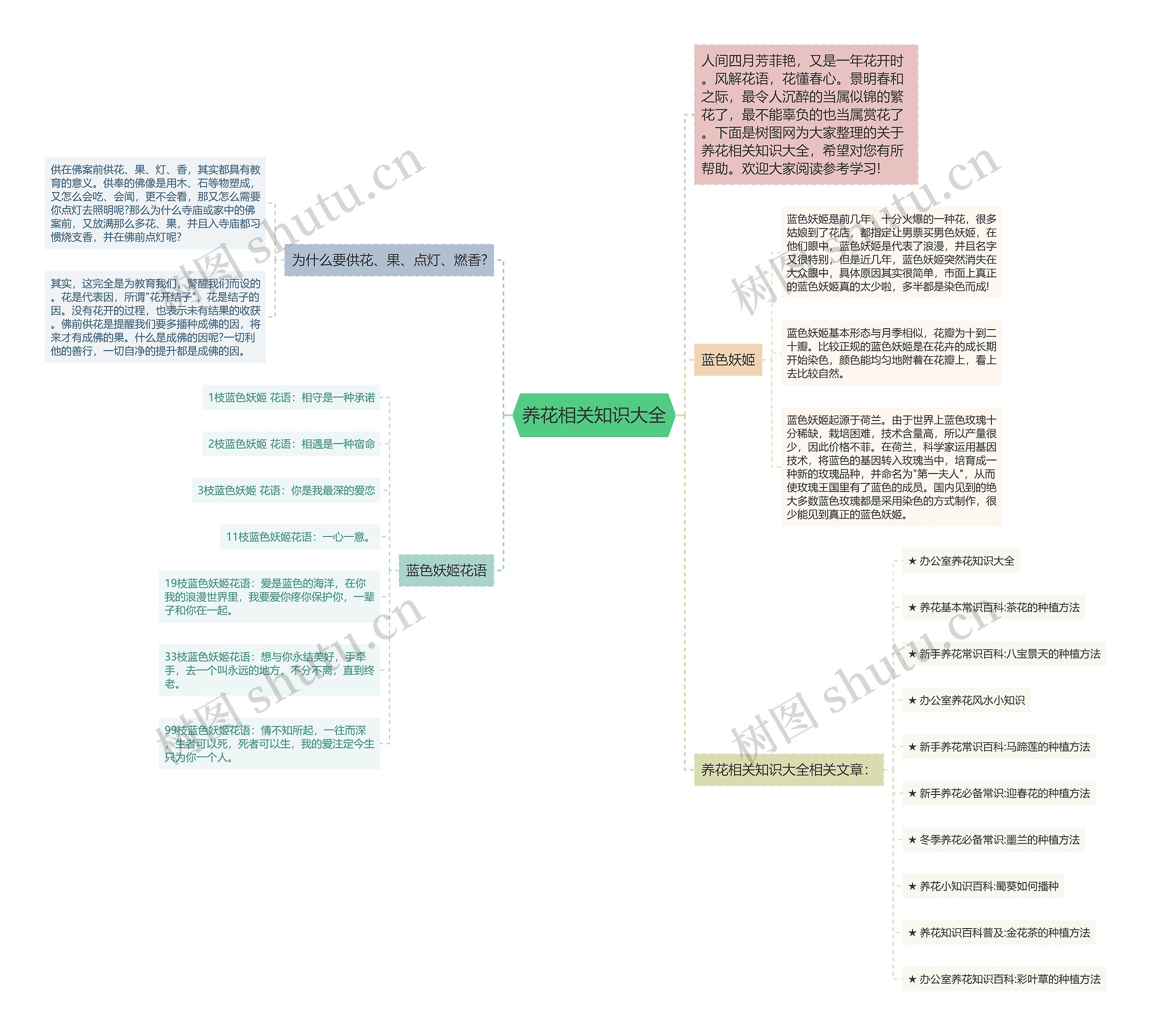 养花相关知识大全思维导图