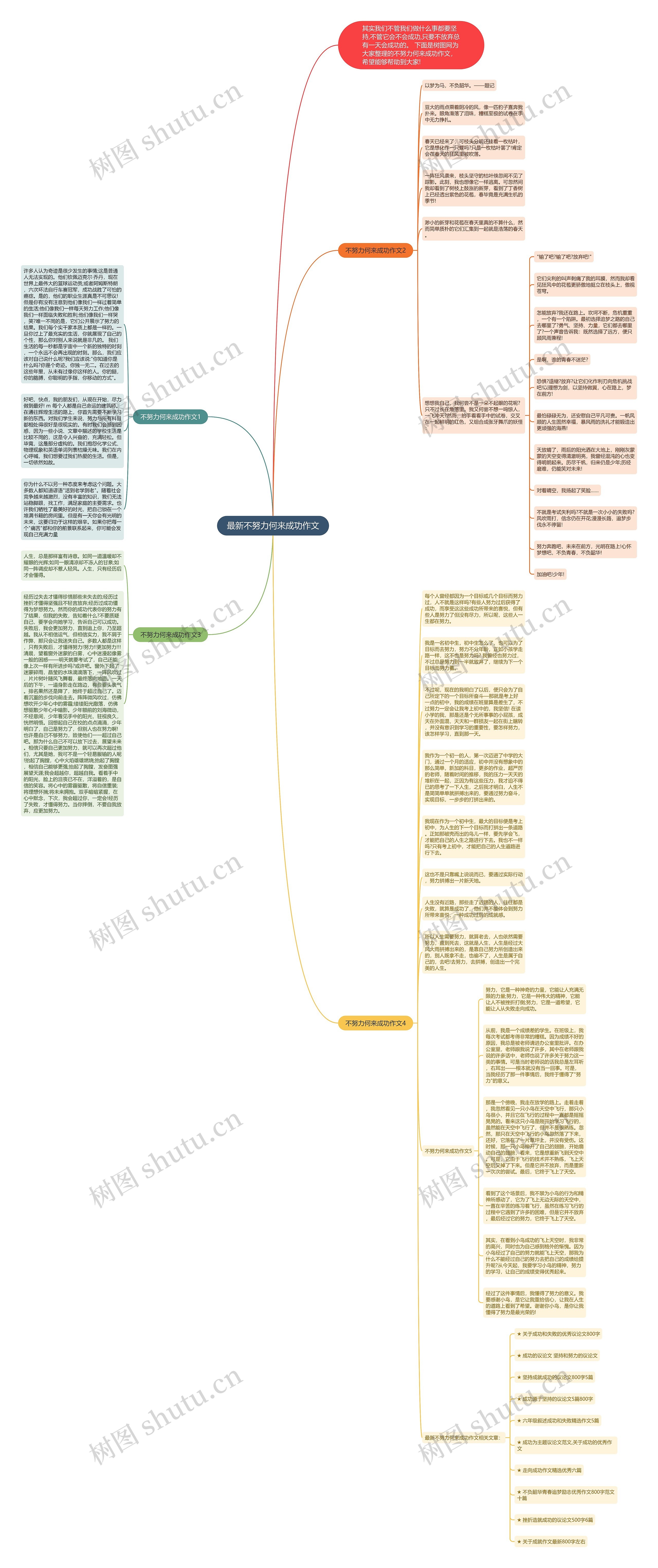 最新不努力何来成功作文思维导图