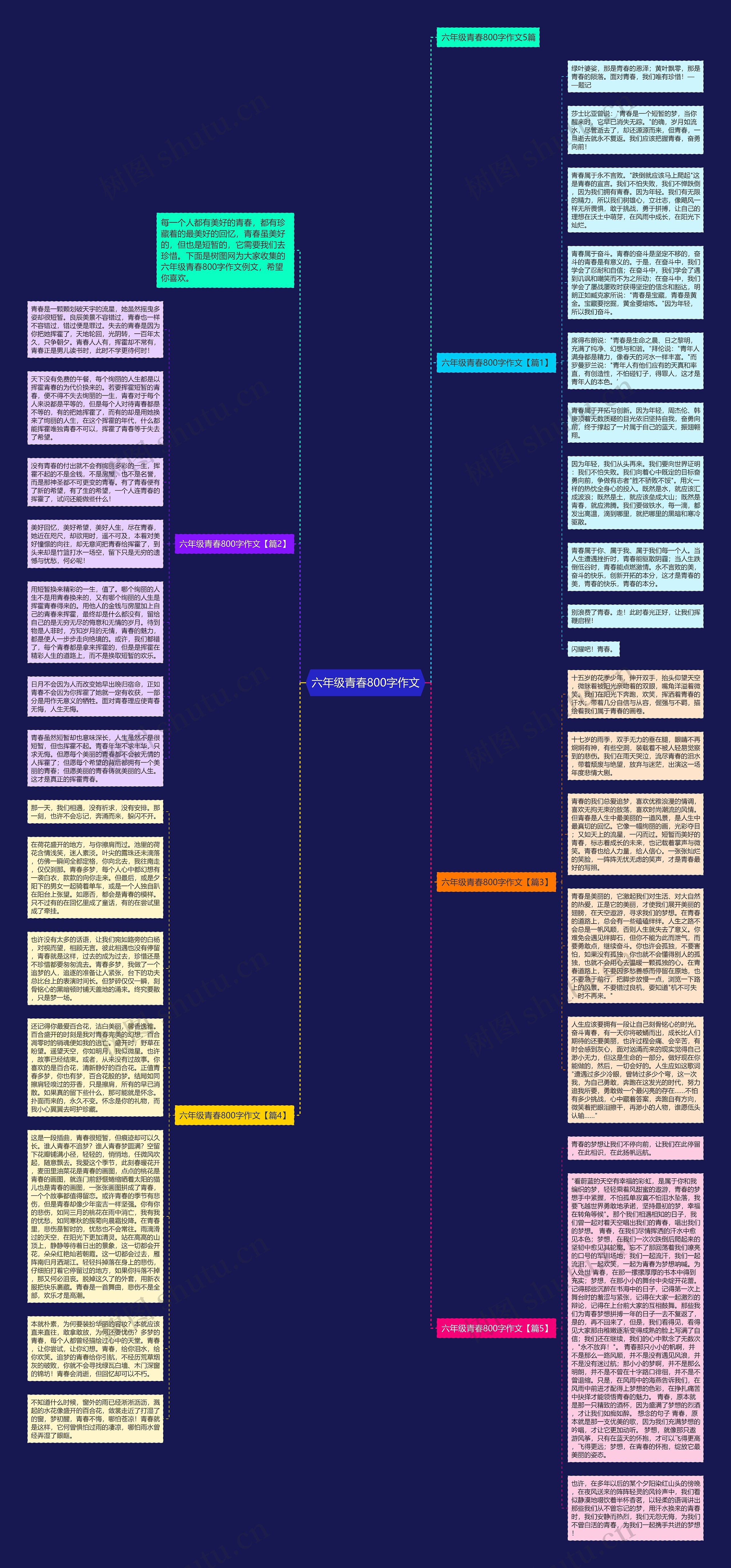 六年级青春800字作文思维导图高清图 六年级青春800字作文思维导图