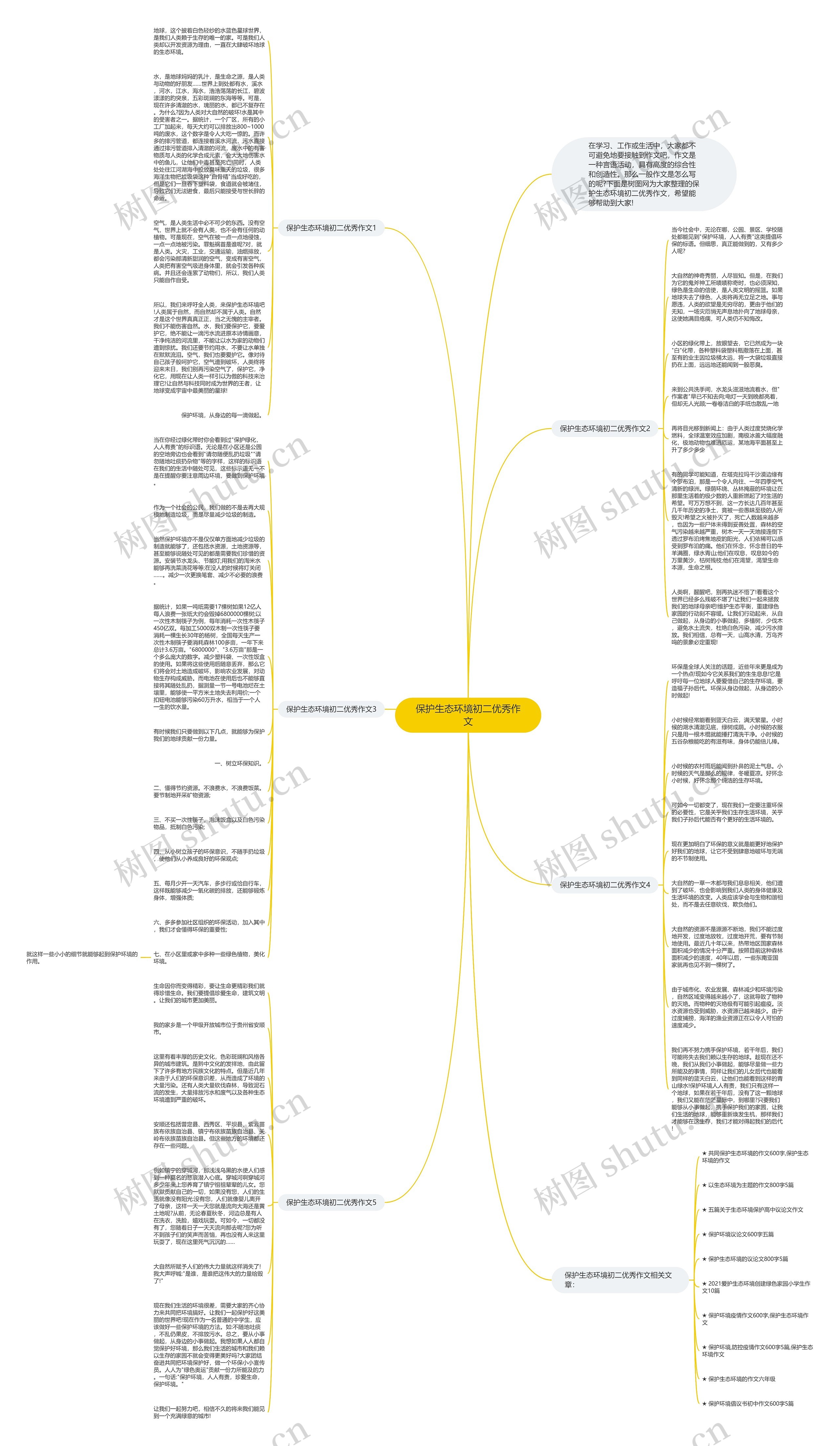 保护生态环境初二优秀作文思维导图