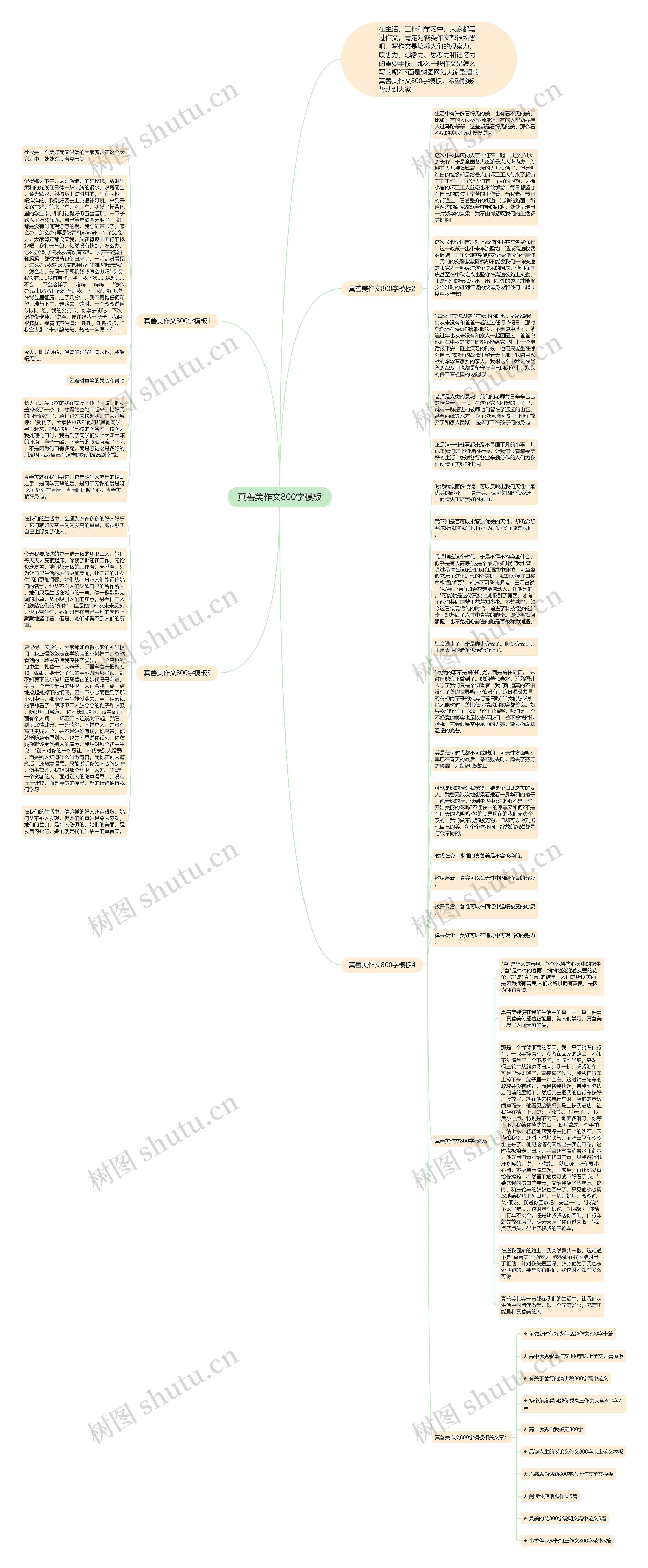 真善美作文800字思维导图