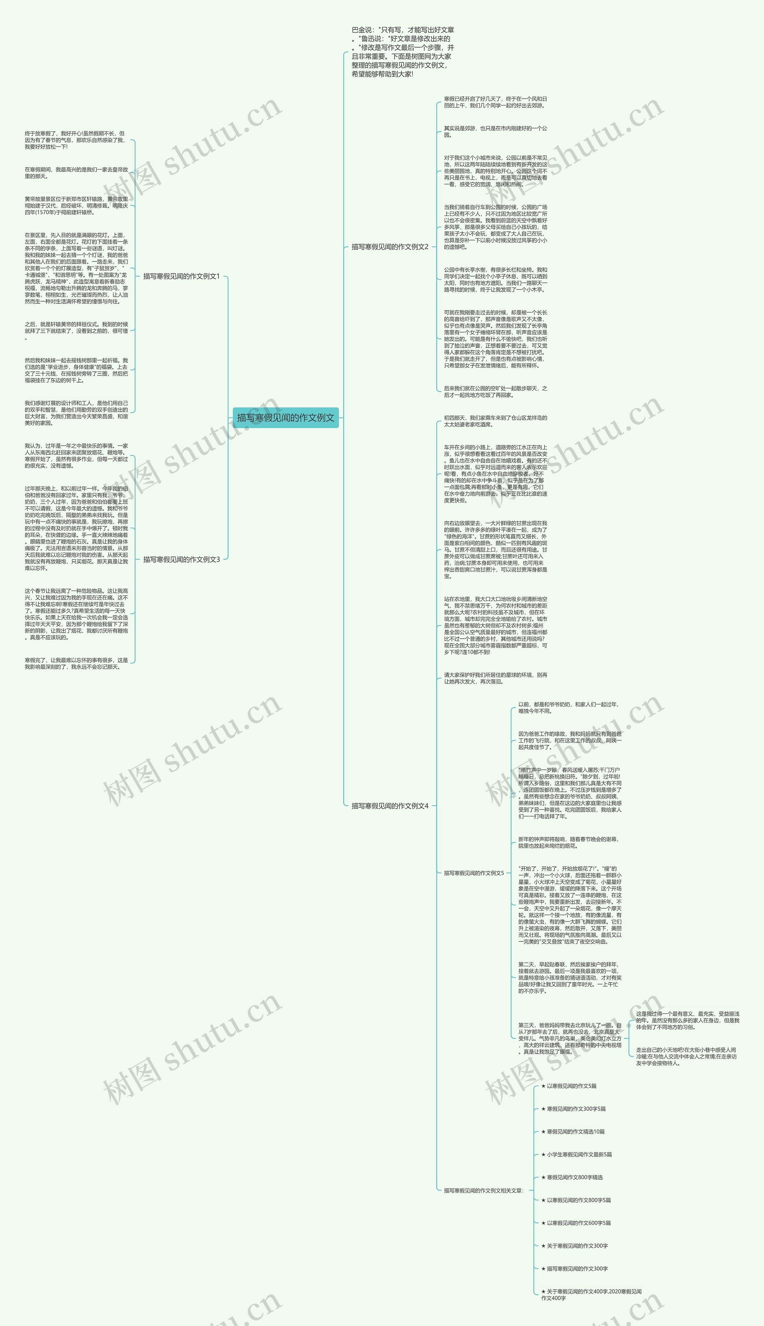 描写寒假见闻的作文例文思维导图