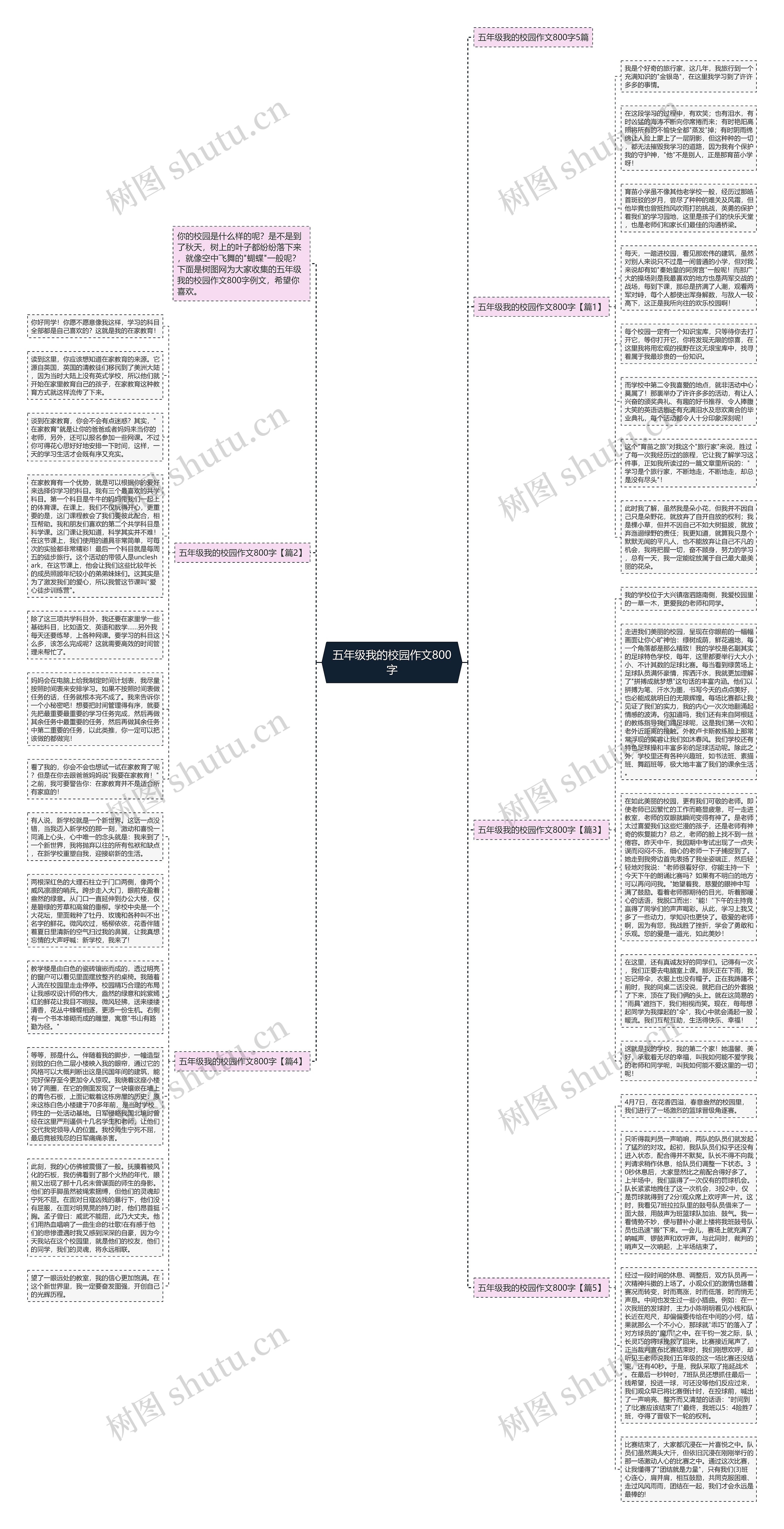 五年级我的校园作文800字思维导图