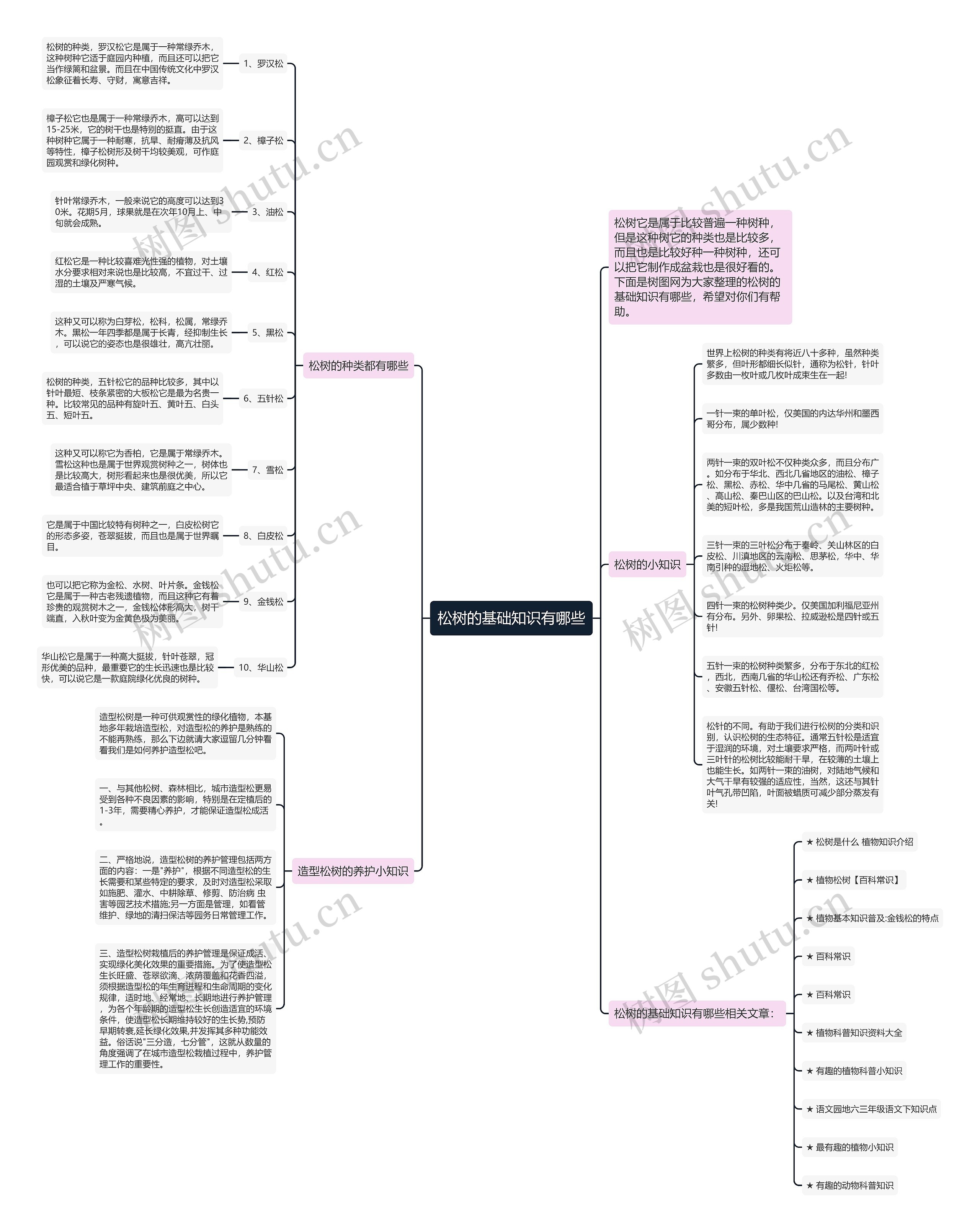 松树的基础知识有哪些思维导图