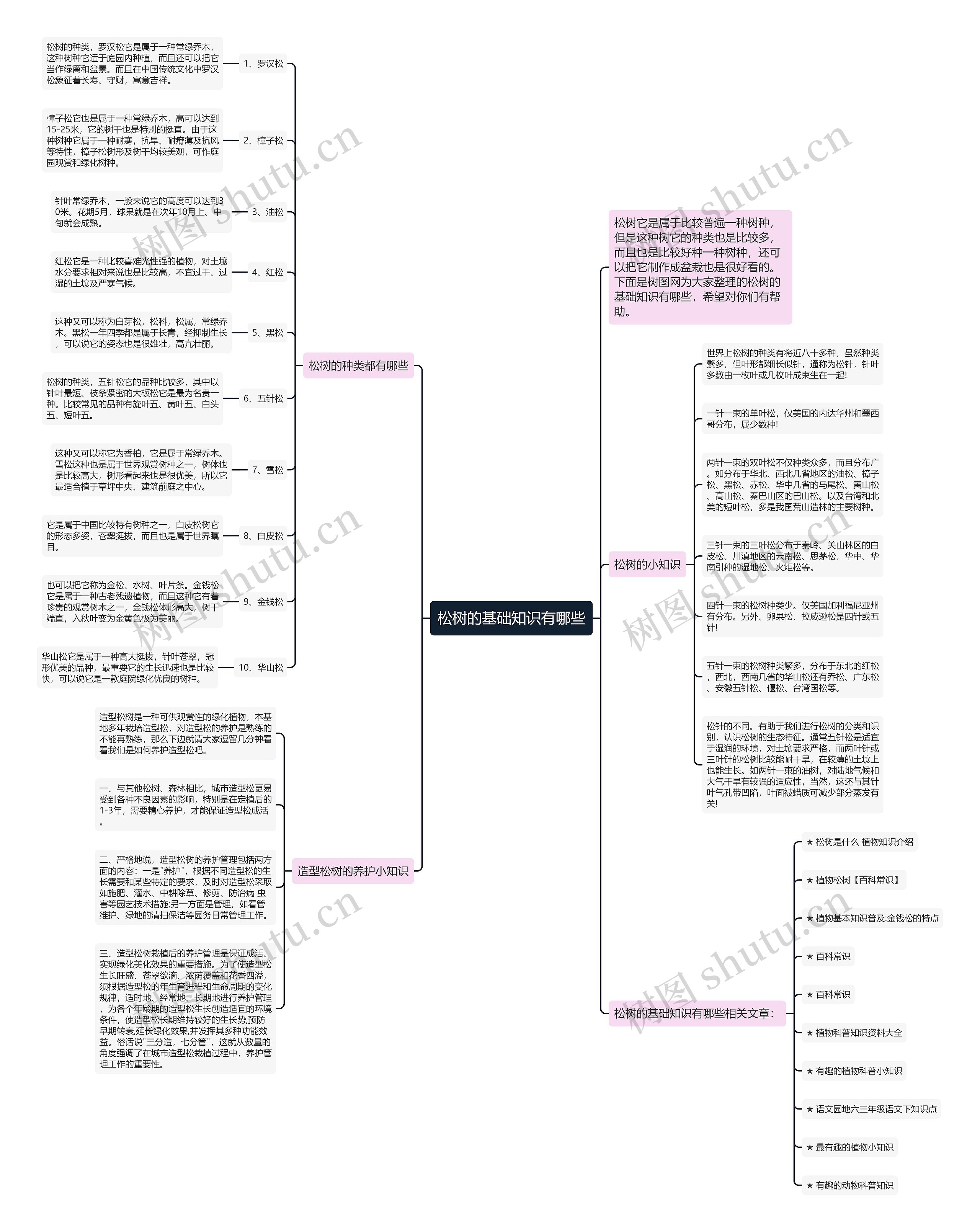 松树的基础知识有哪些思维导图高清图 松树的基础知识有哪些思维导图