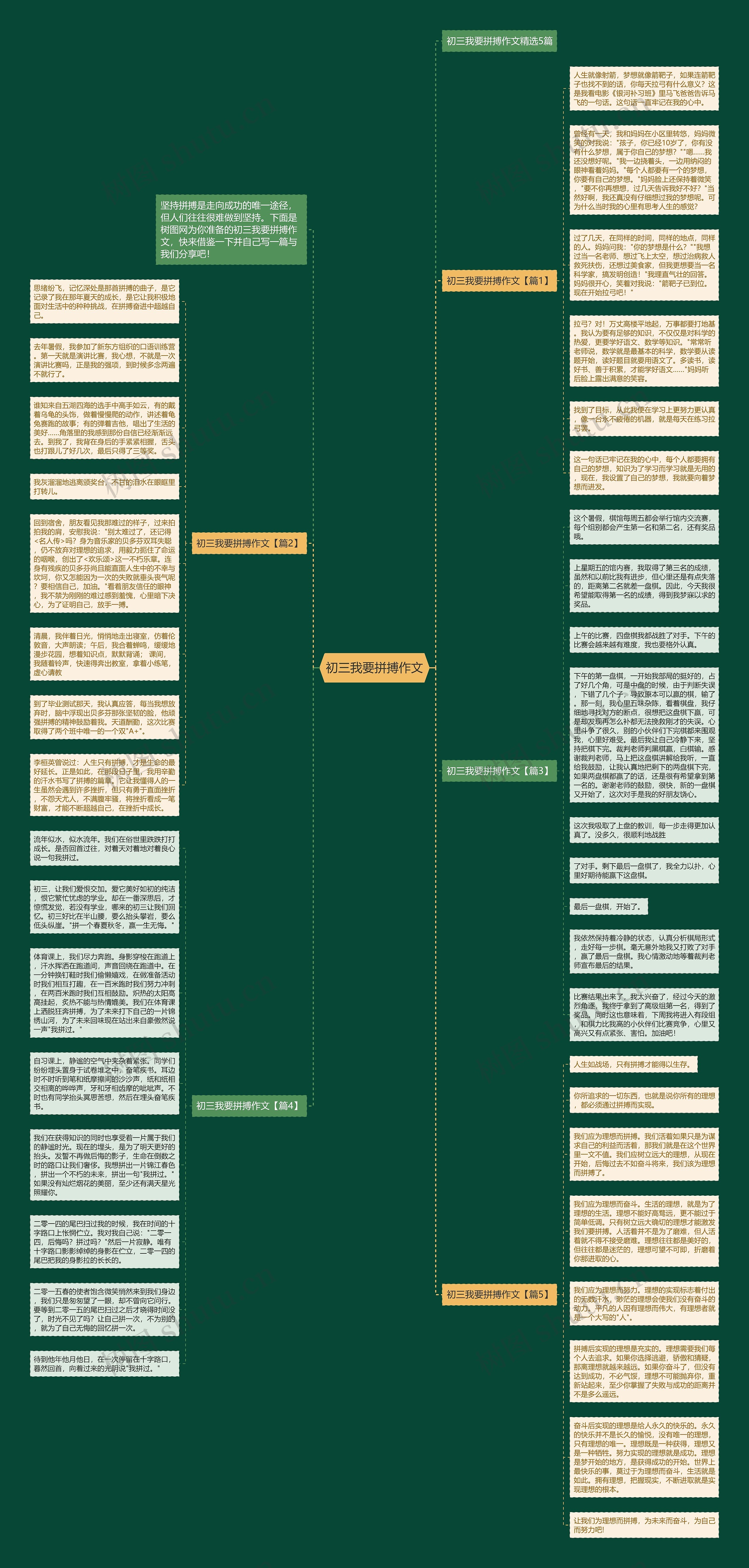 初三我要拼搏作文思维导图