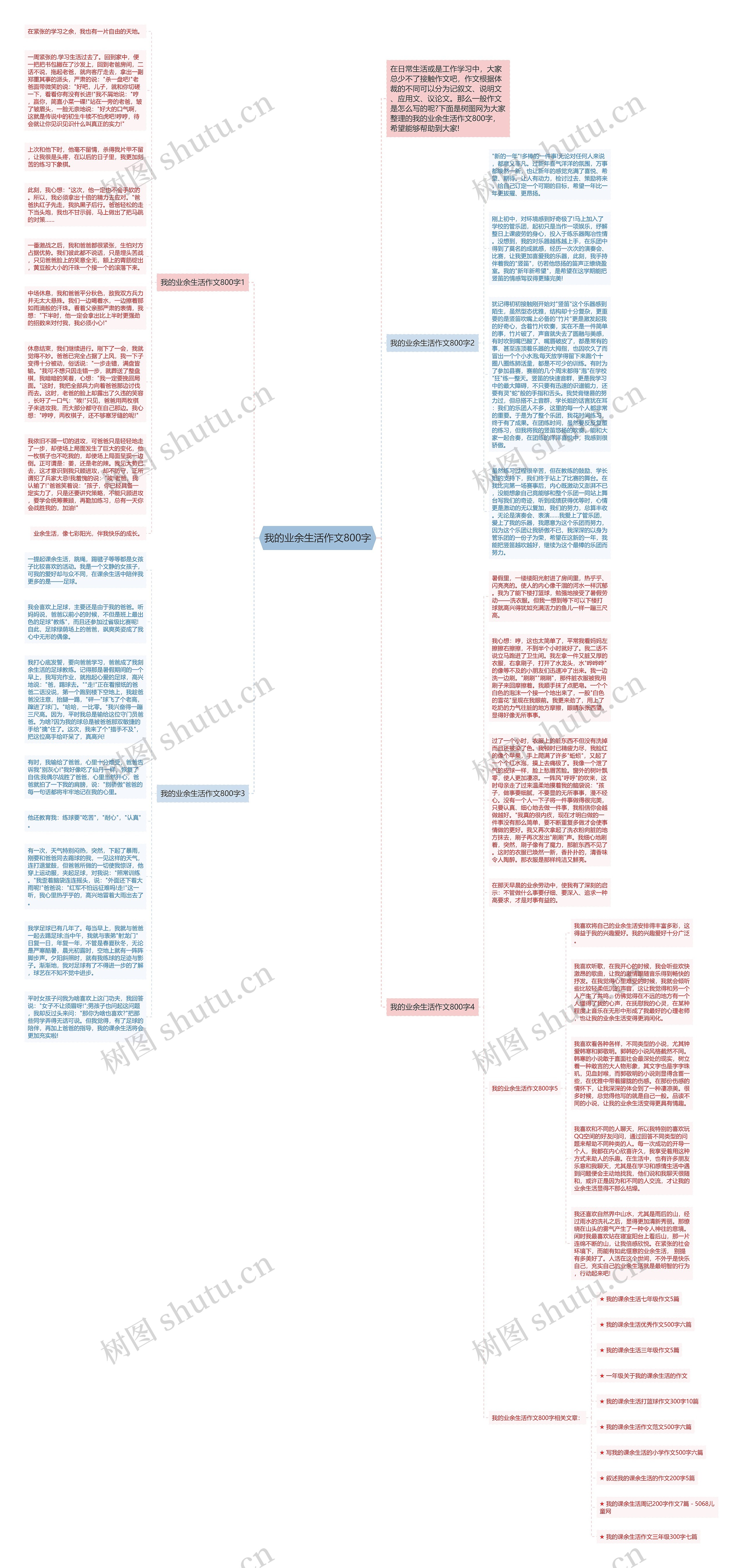 我的业余生活作文800字思维导图