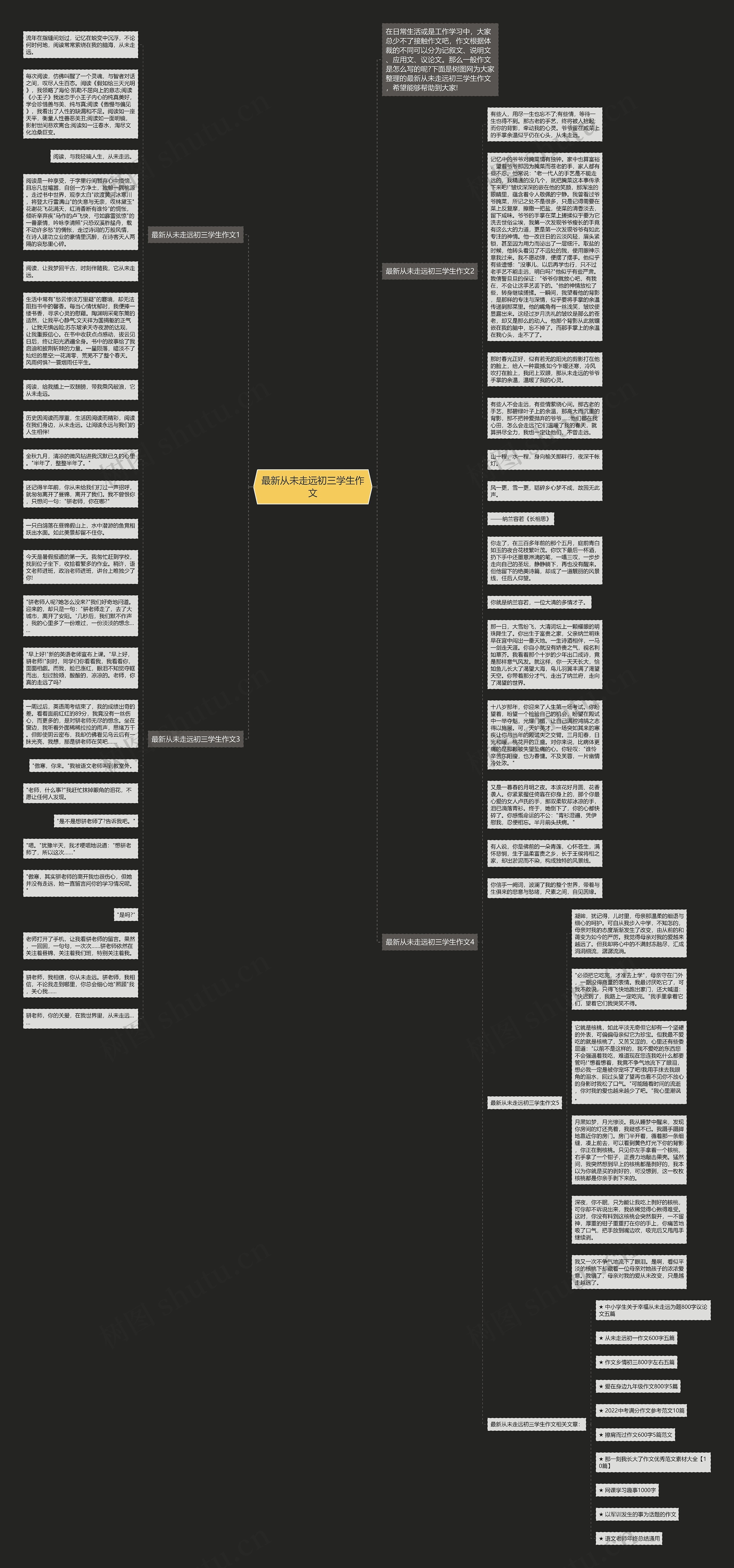 最新从未走远初三学生作文思维导图