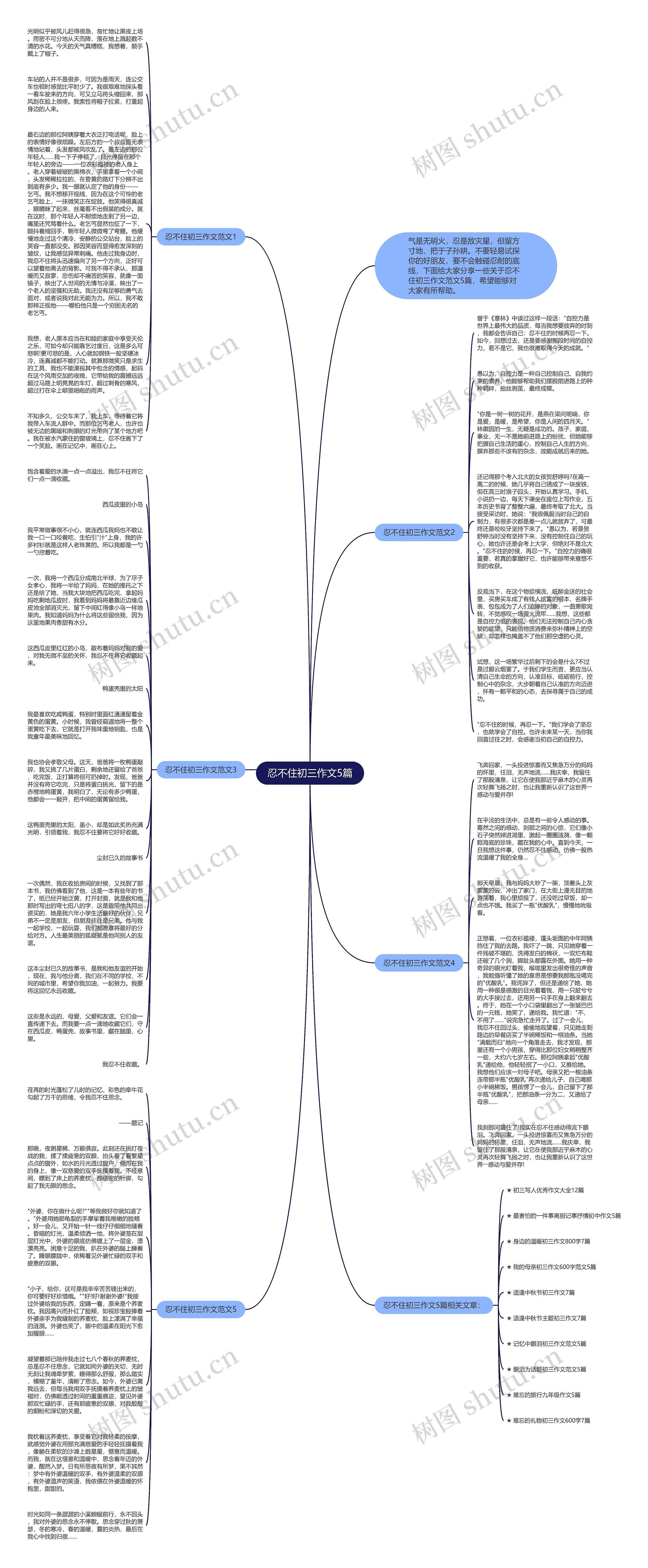 忍不住初三作文5篇思维导图