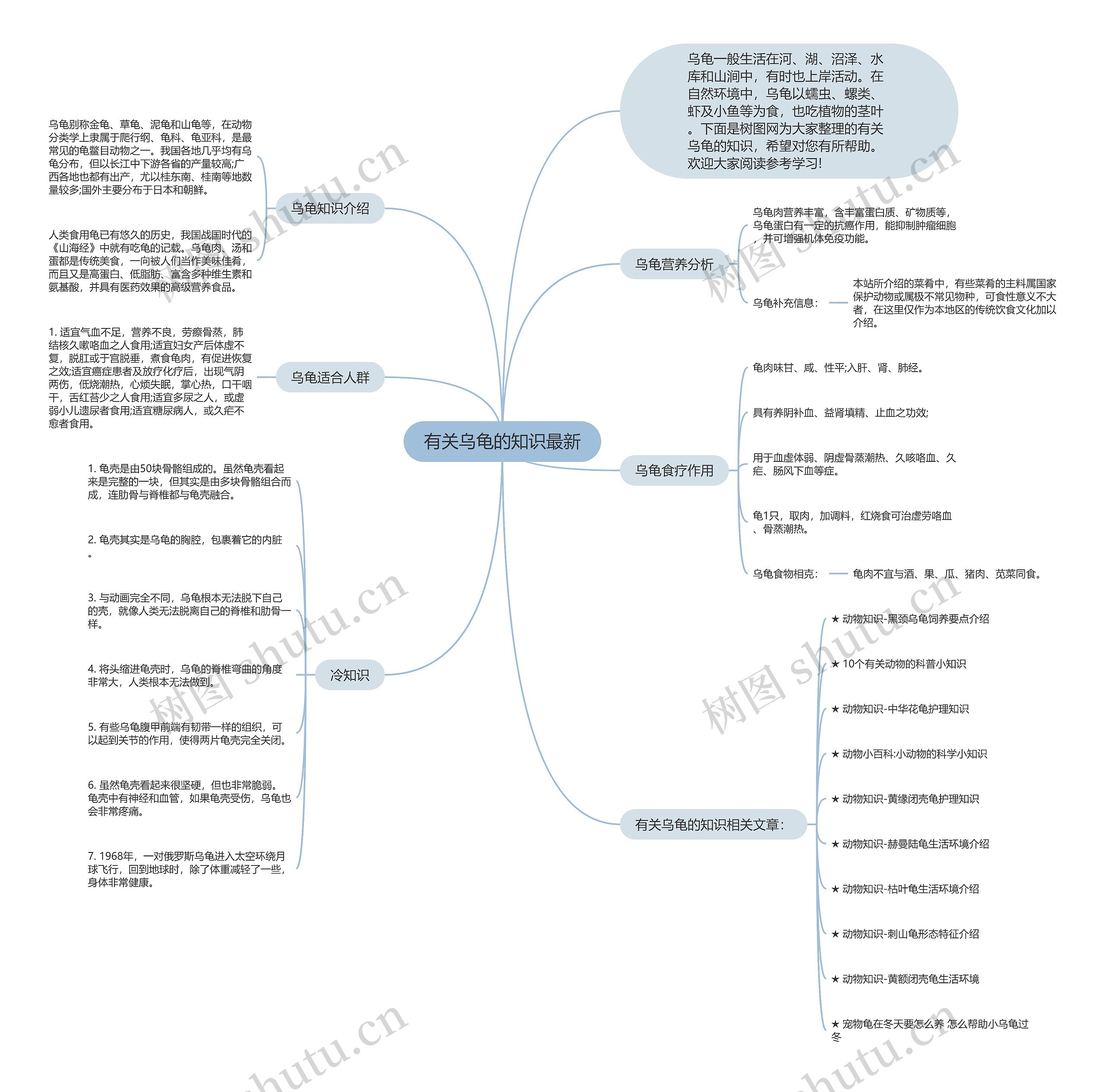有关乌龟的知识最新思维导图