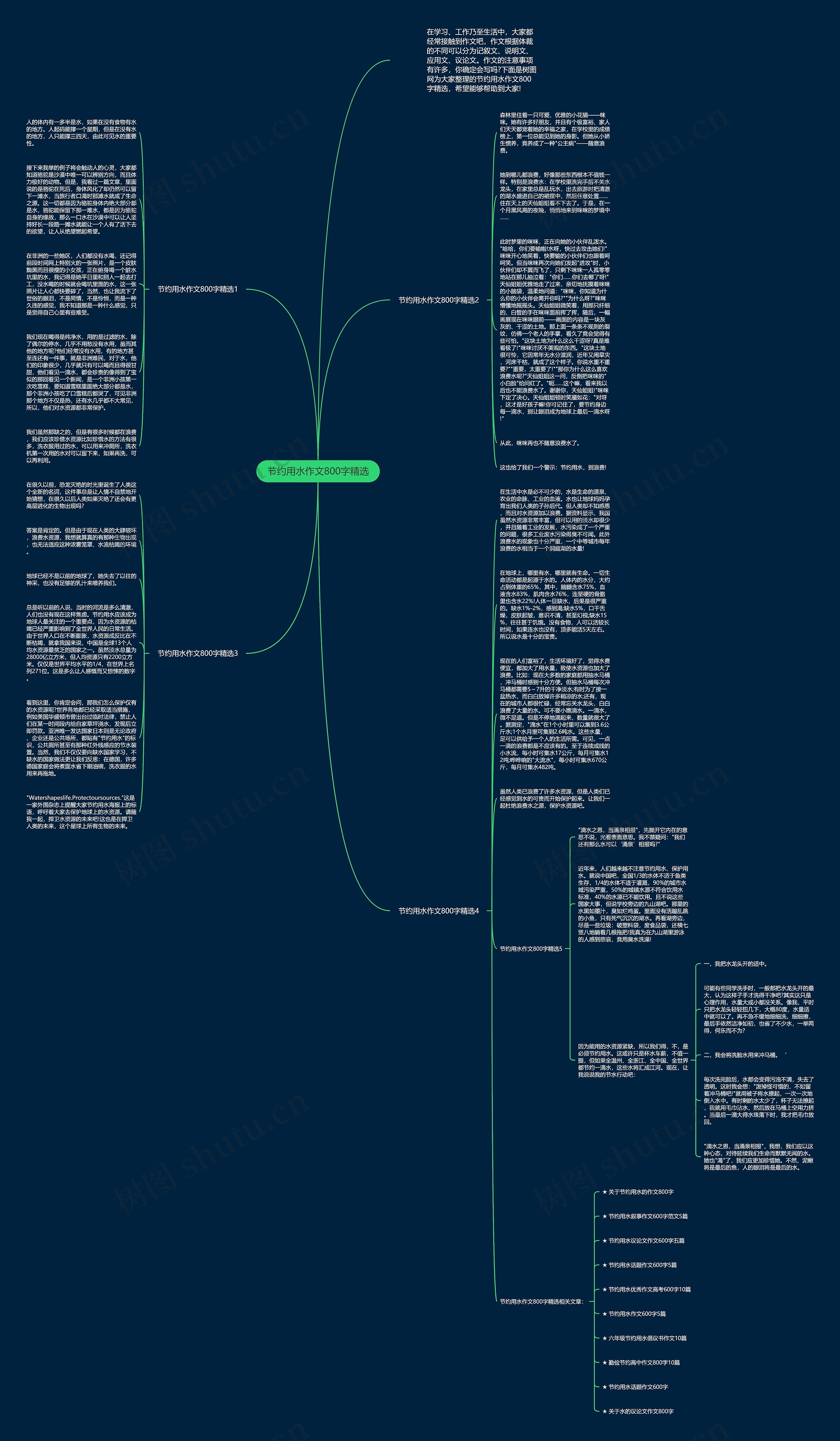 节约用水作文800字精选思维导图
