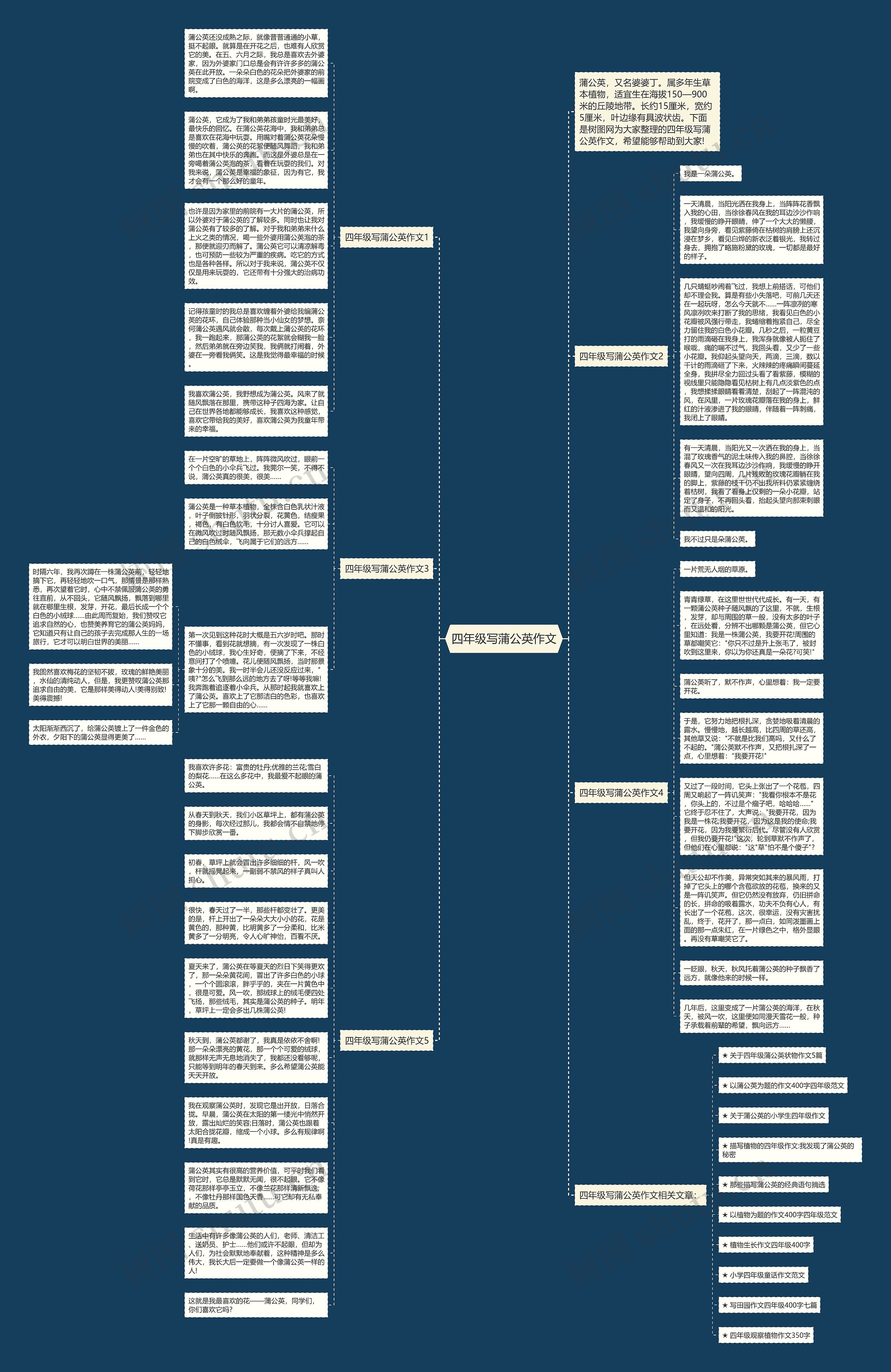 四年级写蒲公英作文思维导图
