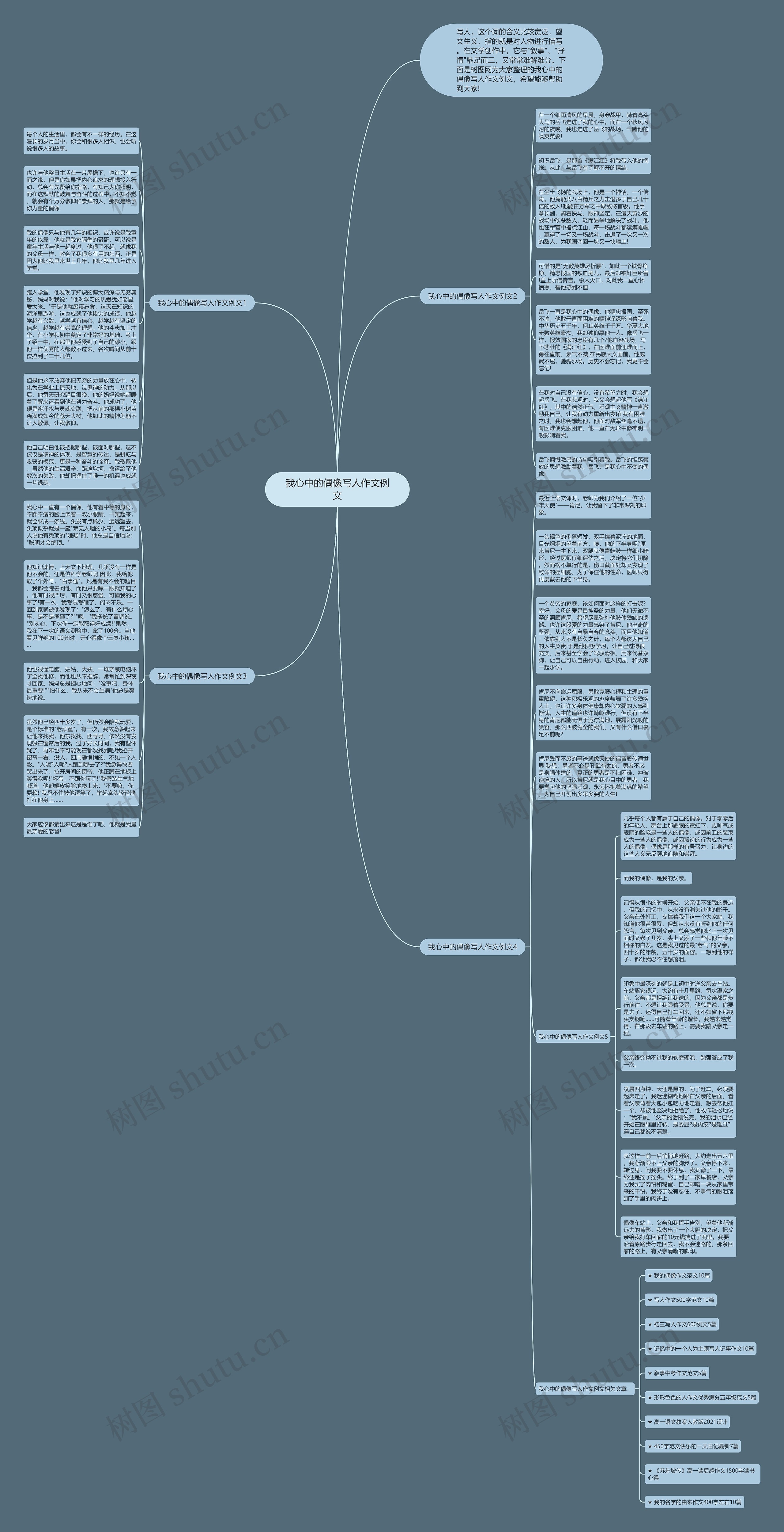 我心中的偶像写人作文例文思维导图