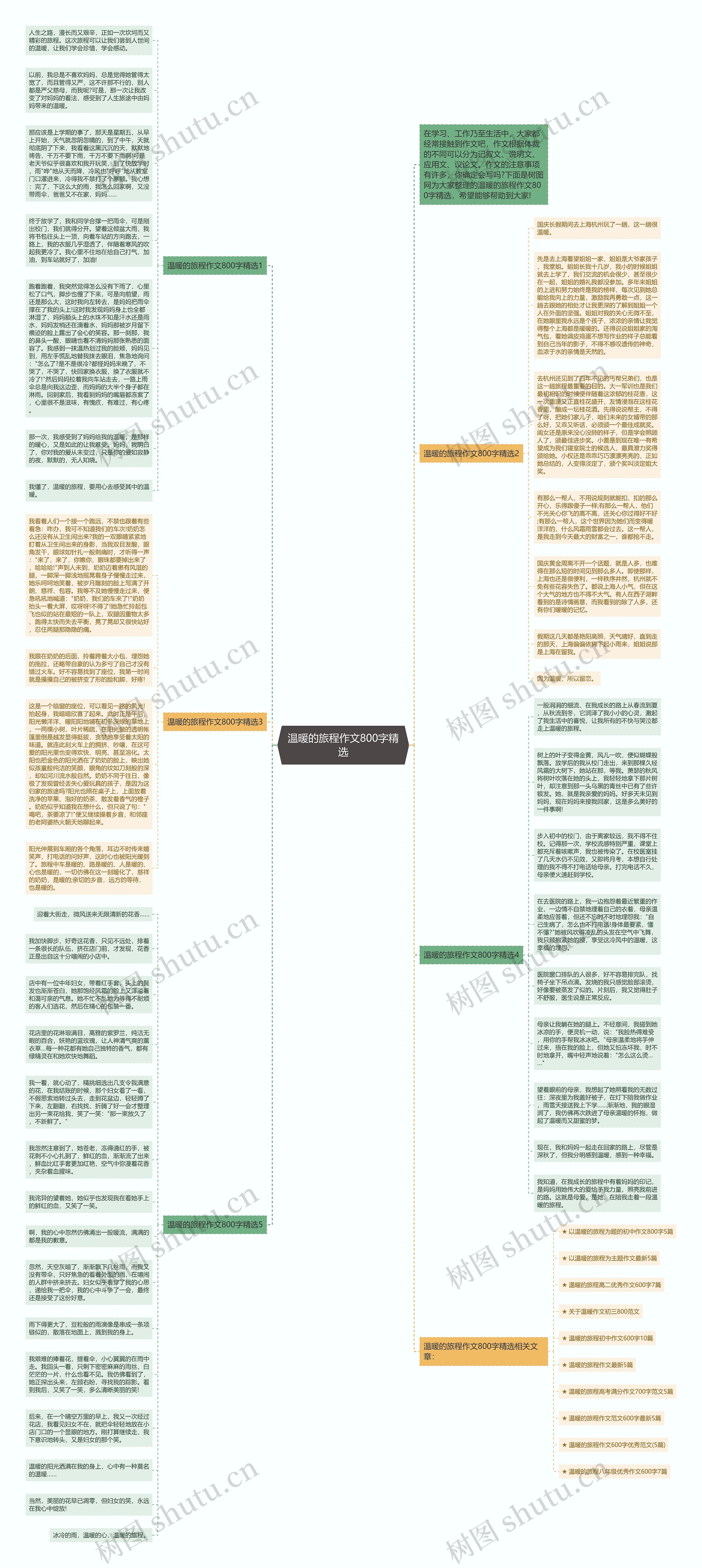 温暖的旅程作文800字精选思维导图